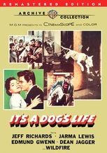 It's a Dog's Life
