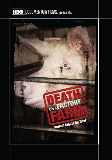 Death on a Factory Farm