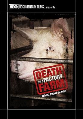 Death on a Factory Farm