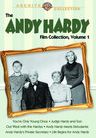 The Andy Hardy Collection, Vol. 1
