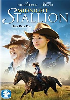 Midnight Stallion