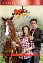 Amor Bravio [4 Discs]