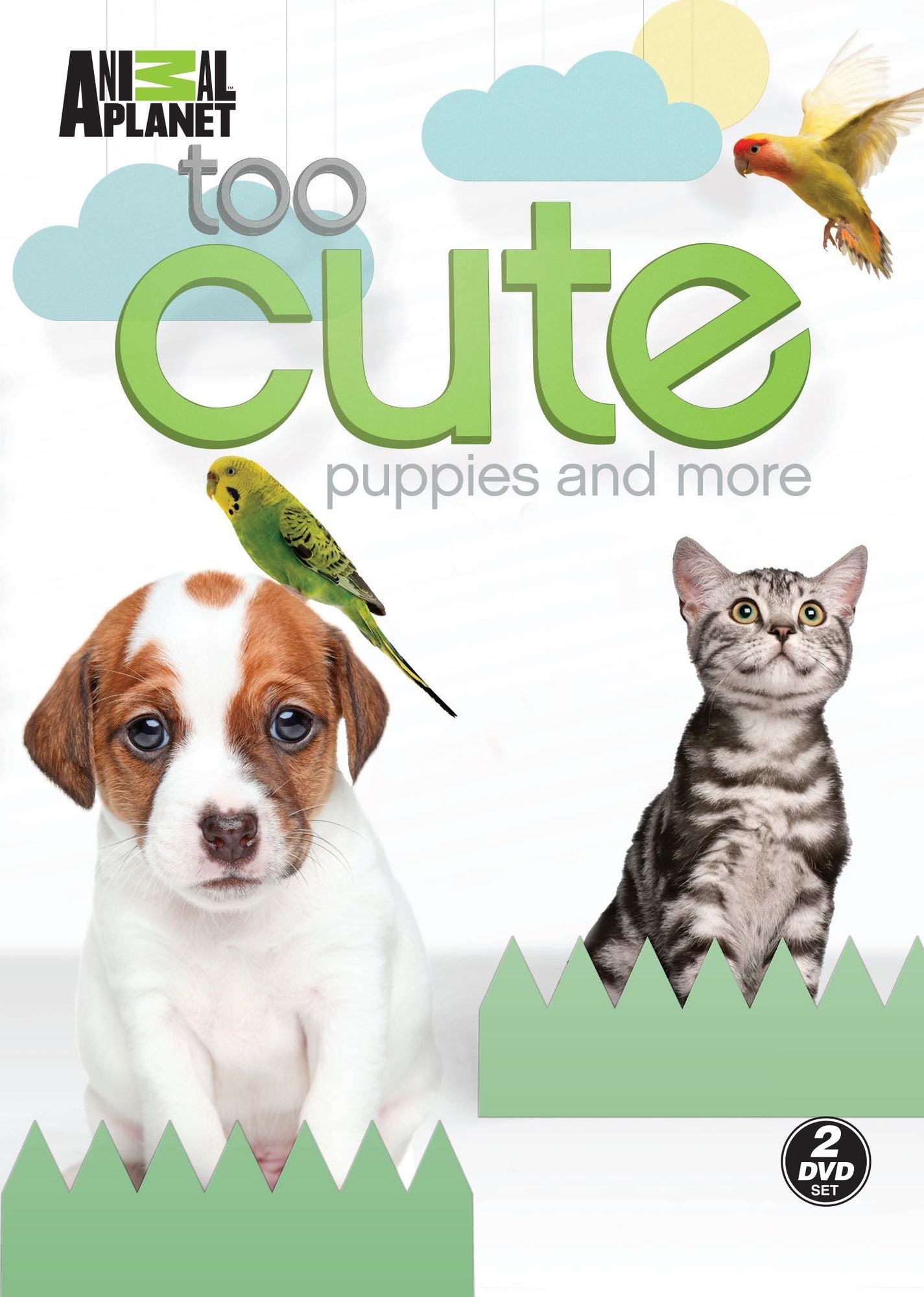 Too Cute Puppies & More