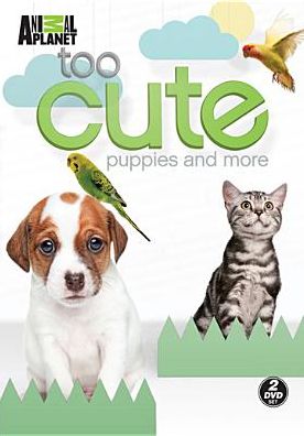 Too Cute Puppies & More