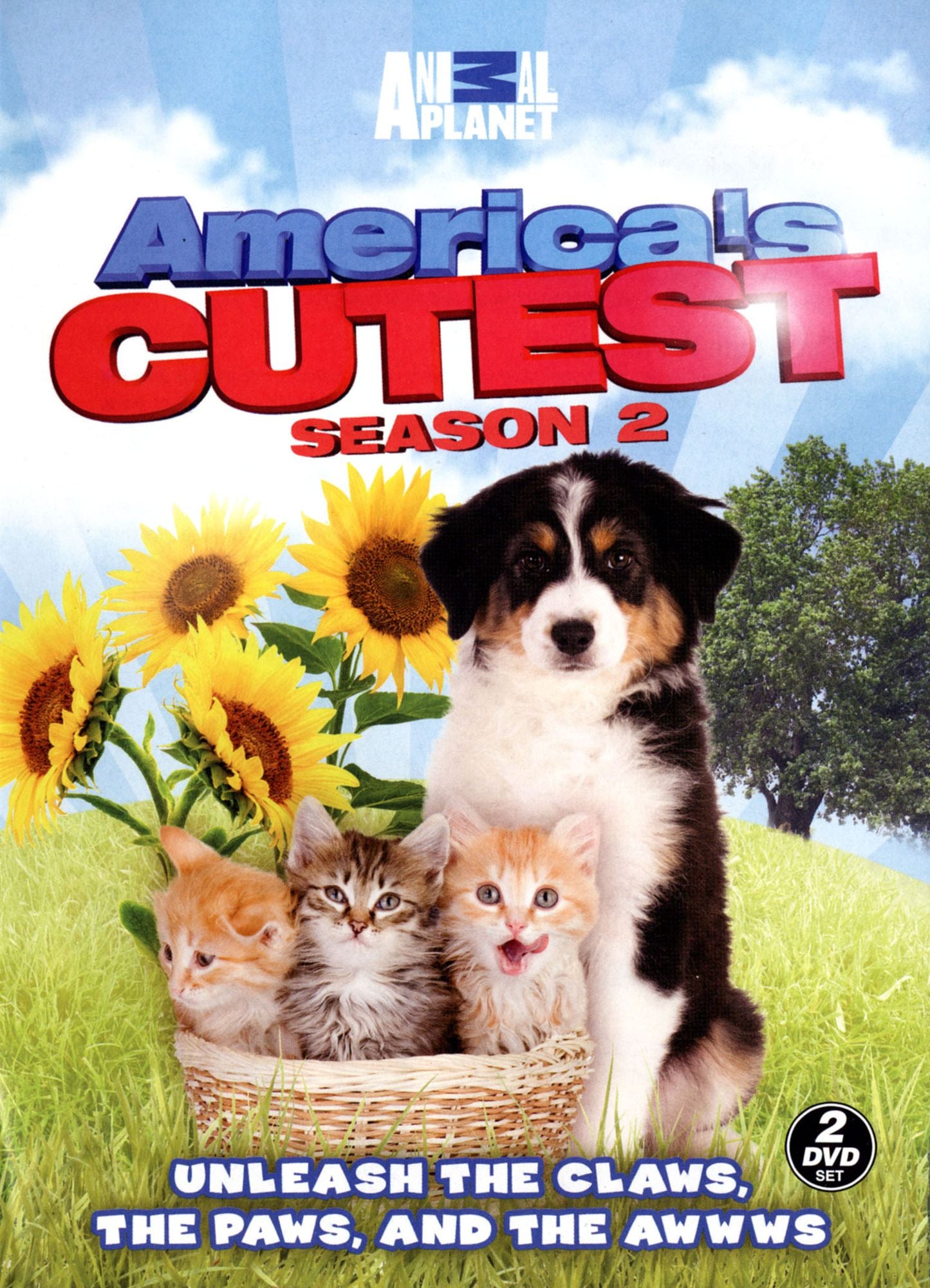 America's Cutest Season 2
