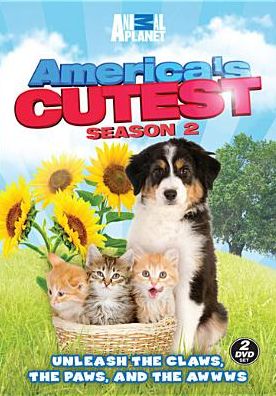 America's Cutest Season 2