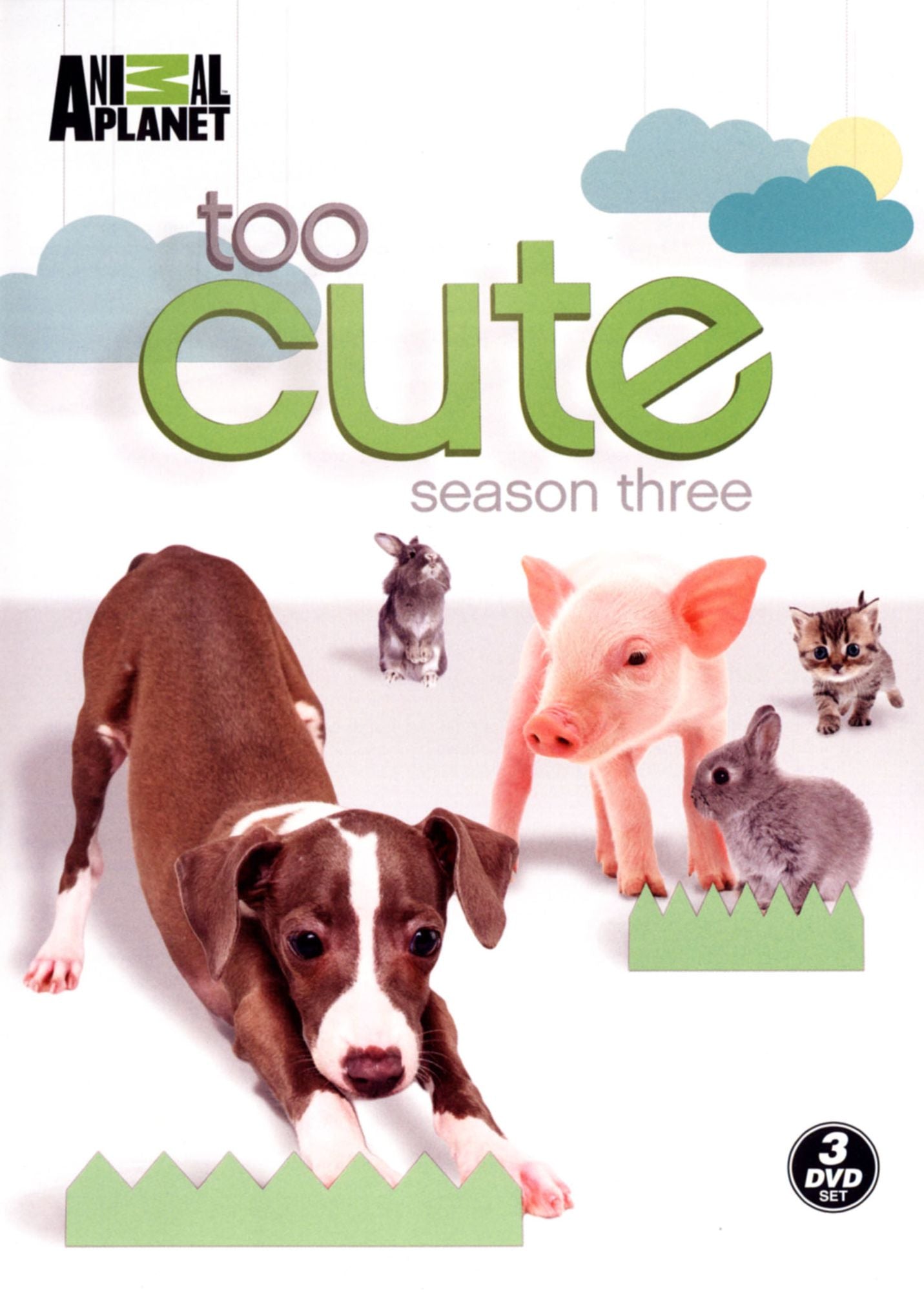 Too Cute Season 3