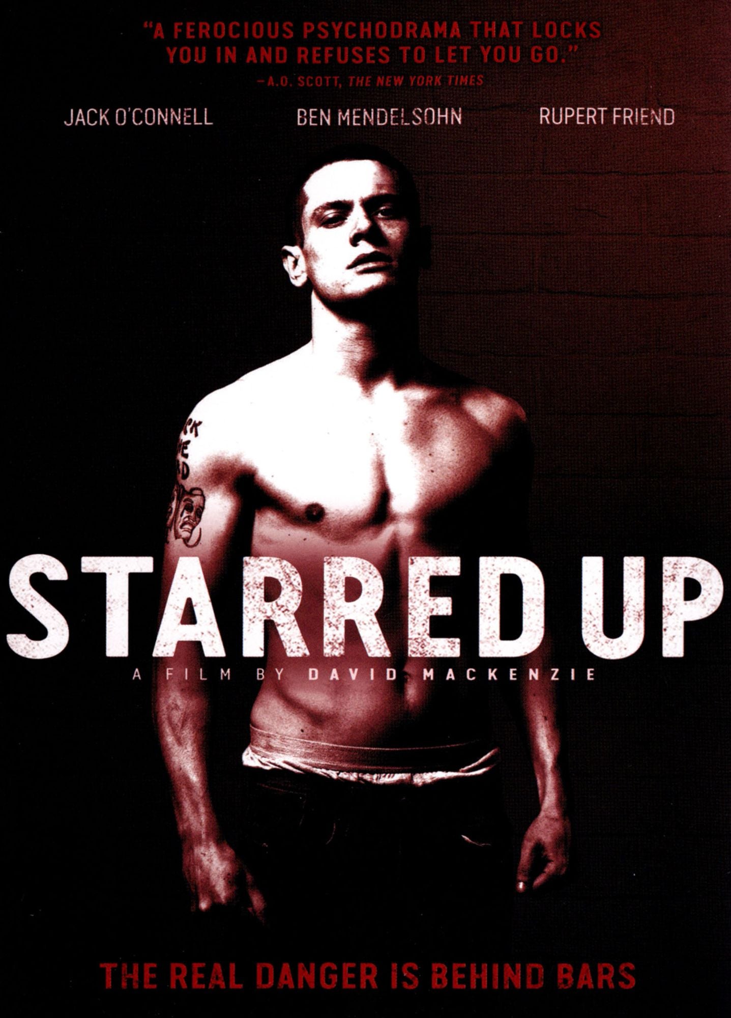 STARRED UP / (WS)