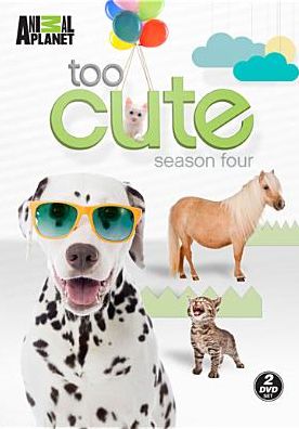 TOO CUTE: SEASON 4 / (2PC WS)