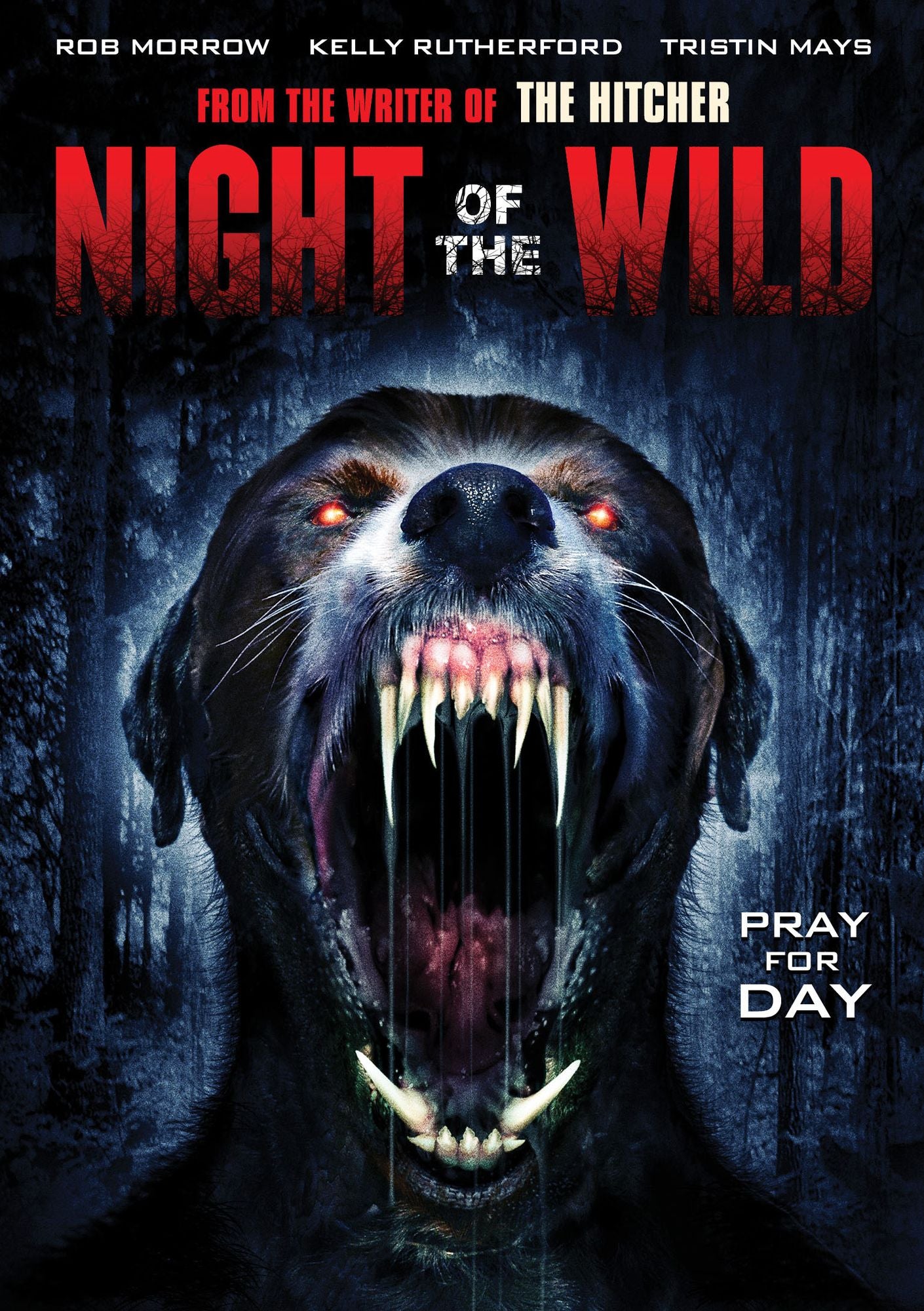 Night Of The Wild