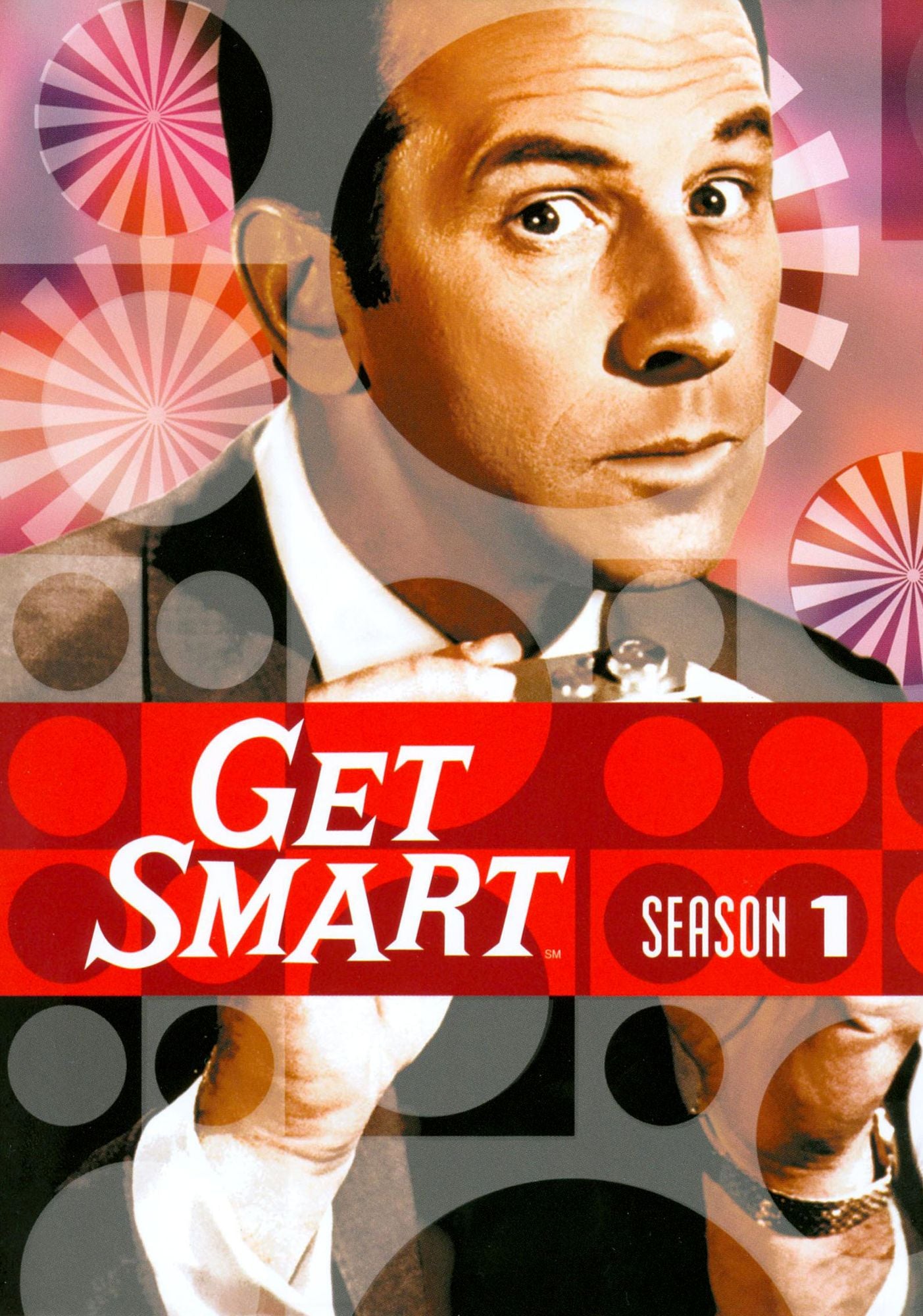 Get Smart: Season 1 [4 Discs]