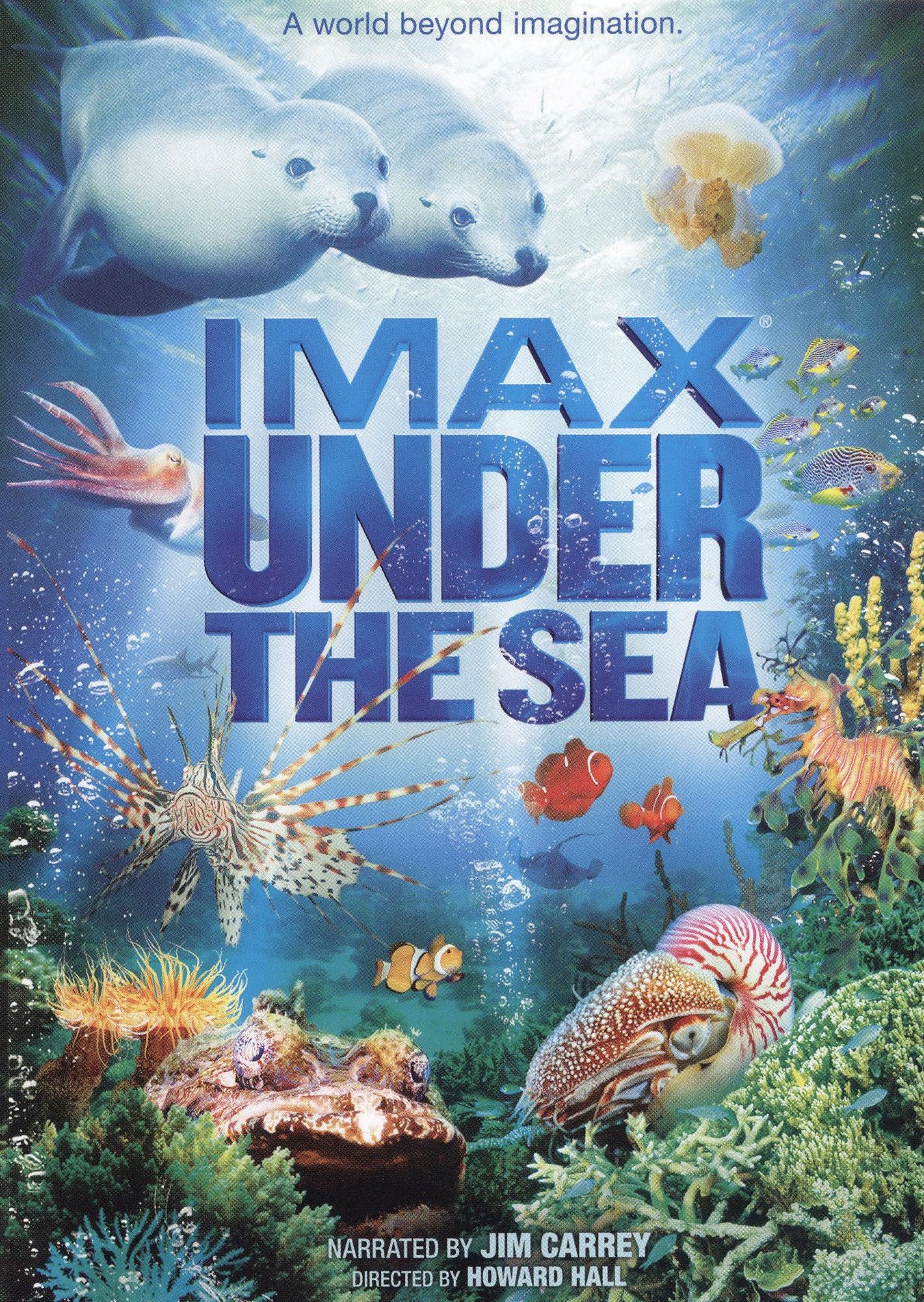 Under the Sea