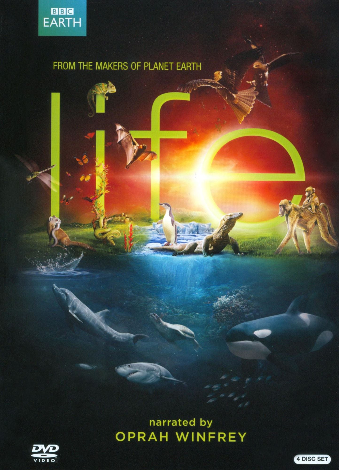 Life [4 Discs]