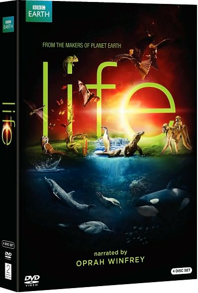 Life [4 Discs]