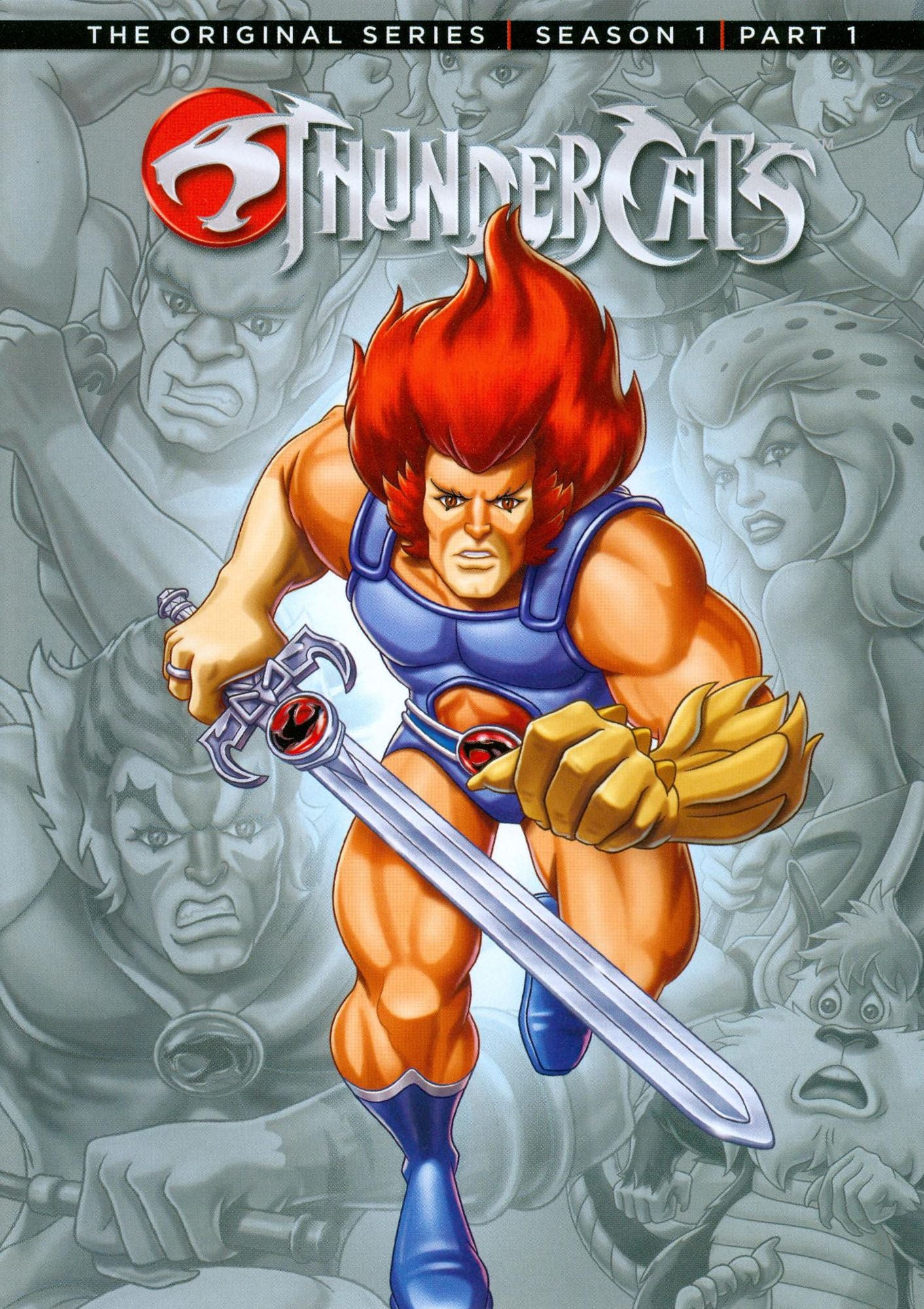 Thundercats: Season 1, Part 1 [2 Discs]