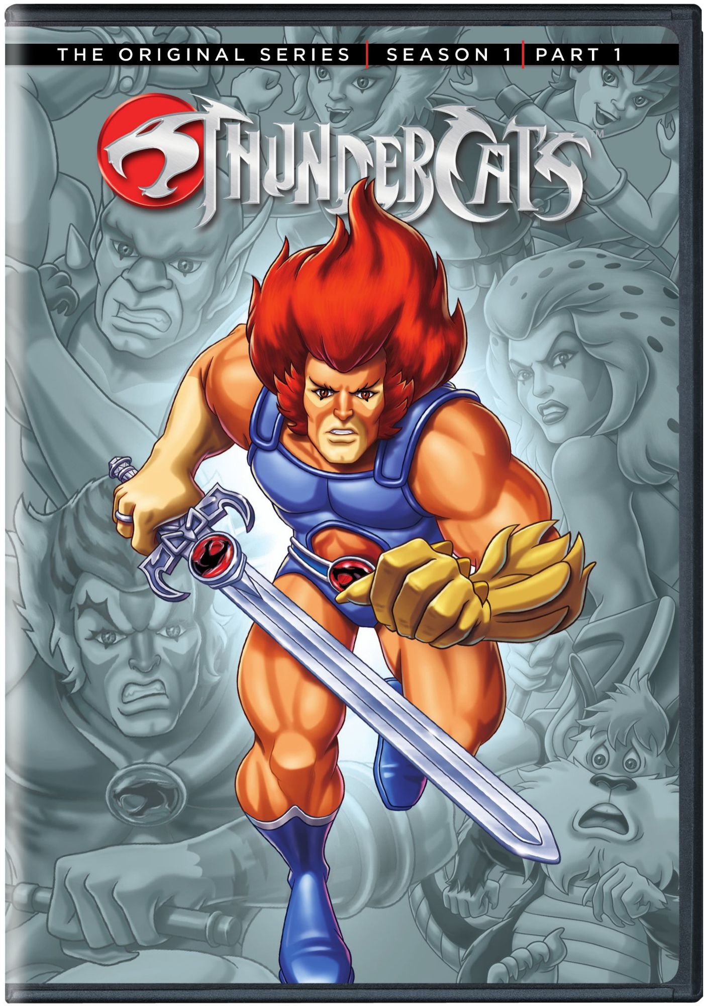 Thundercats: Season 1, Part 1 [2 Discs]