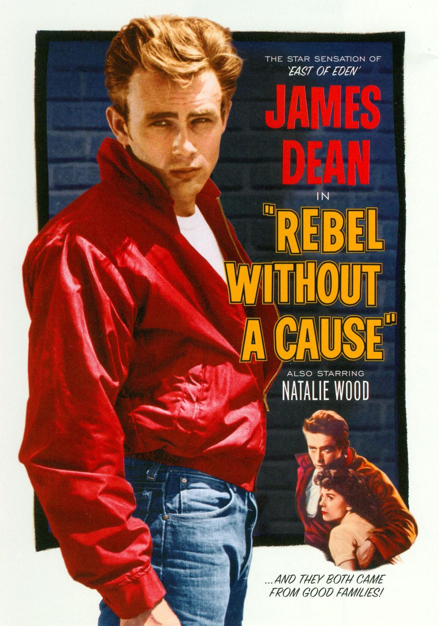Rebel Without a Cause