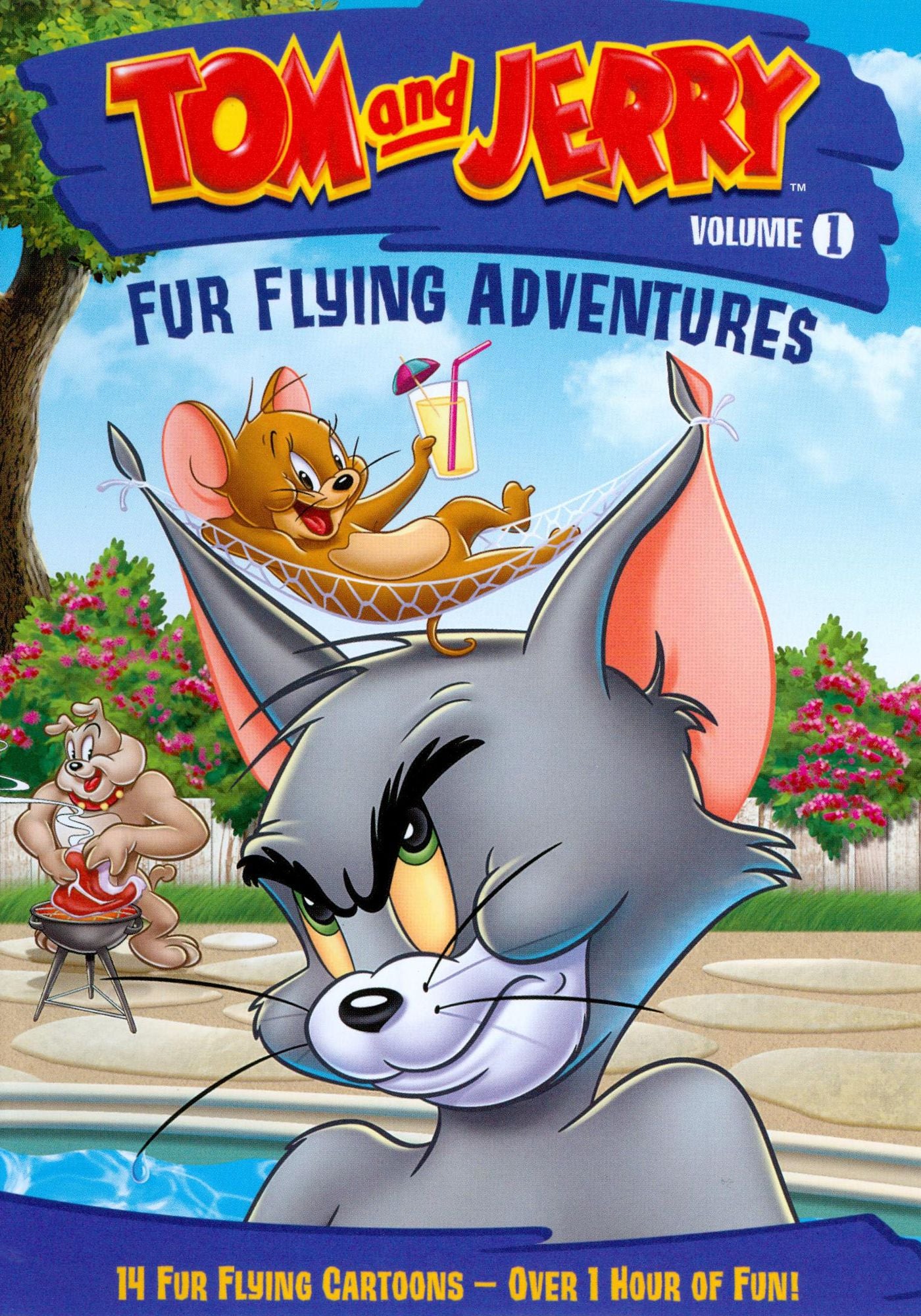 Tom and Jerry: Fur Flying Adventures, Vol. 1