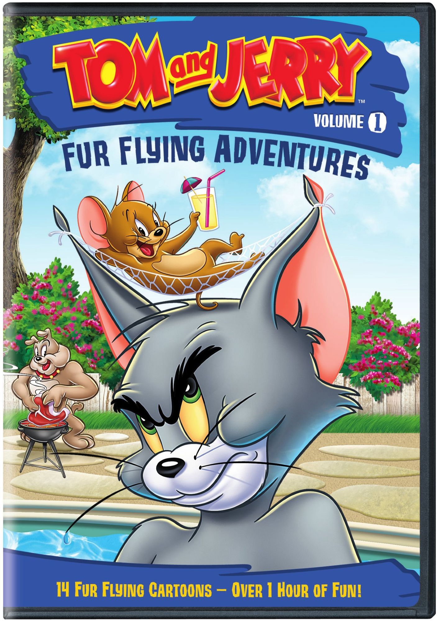 Tom and Jerry: Fur Flying Adventures, Vol. 1