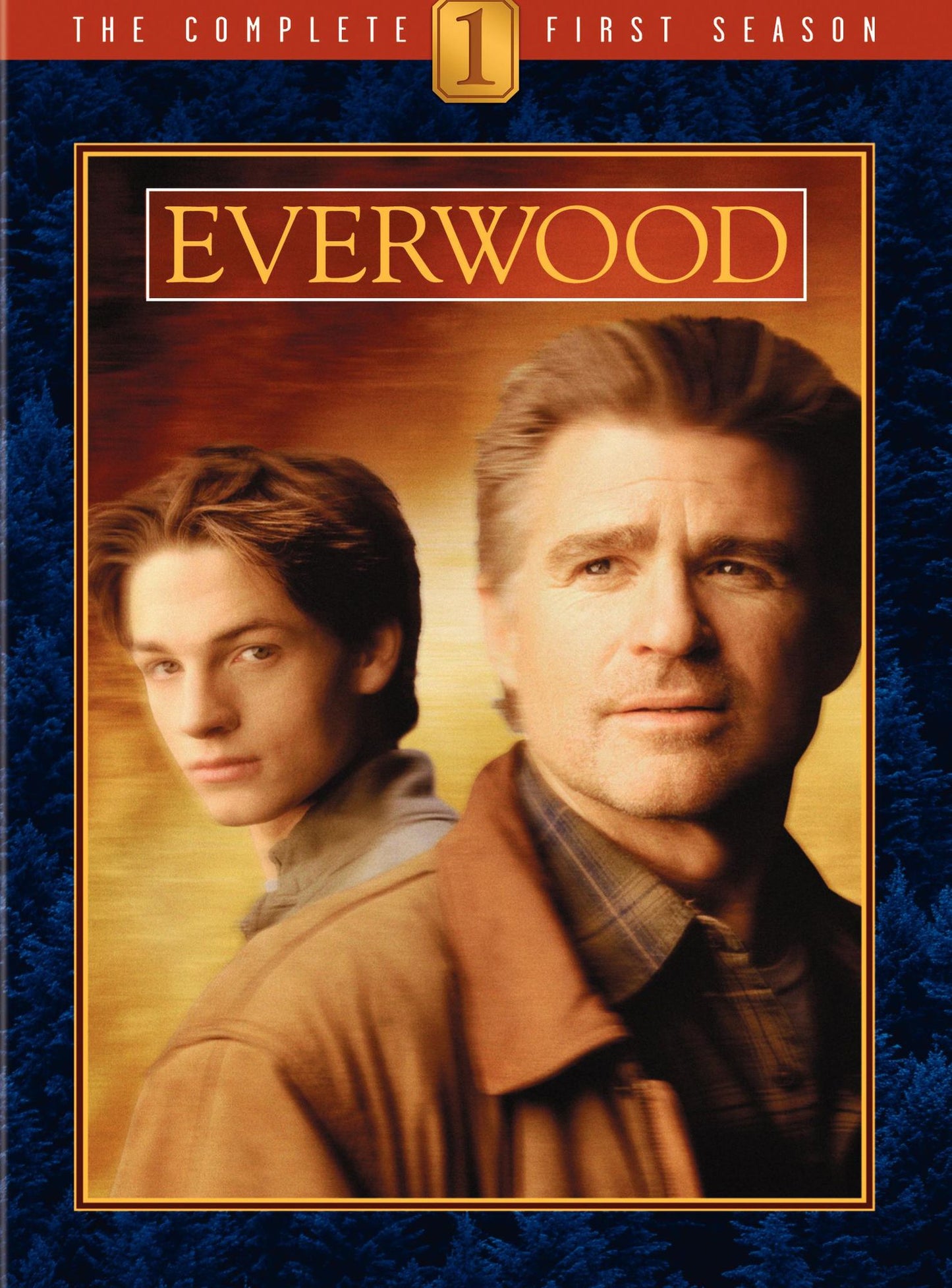 Everwood: The Complete First Season [6 Discs]