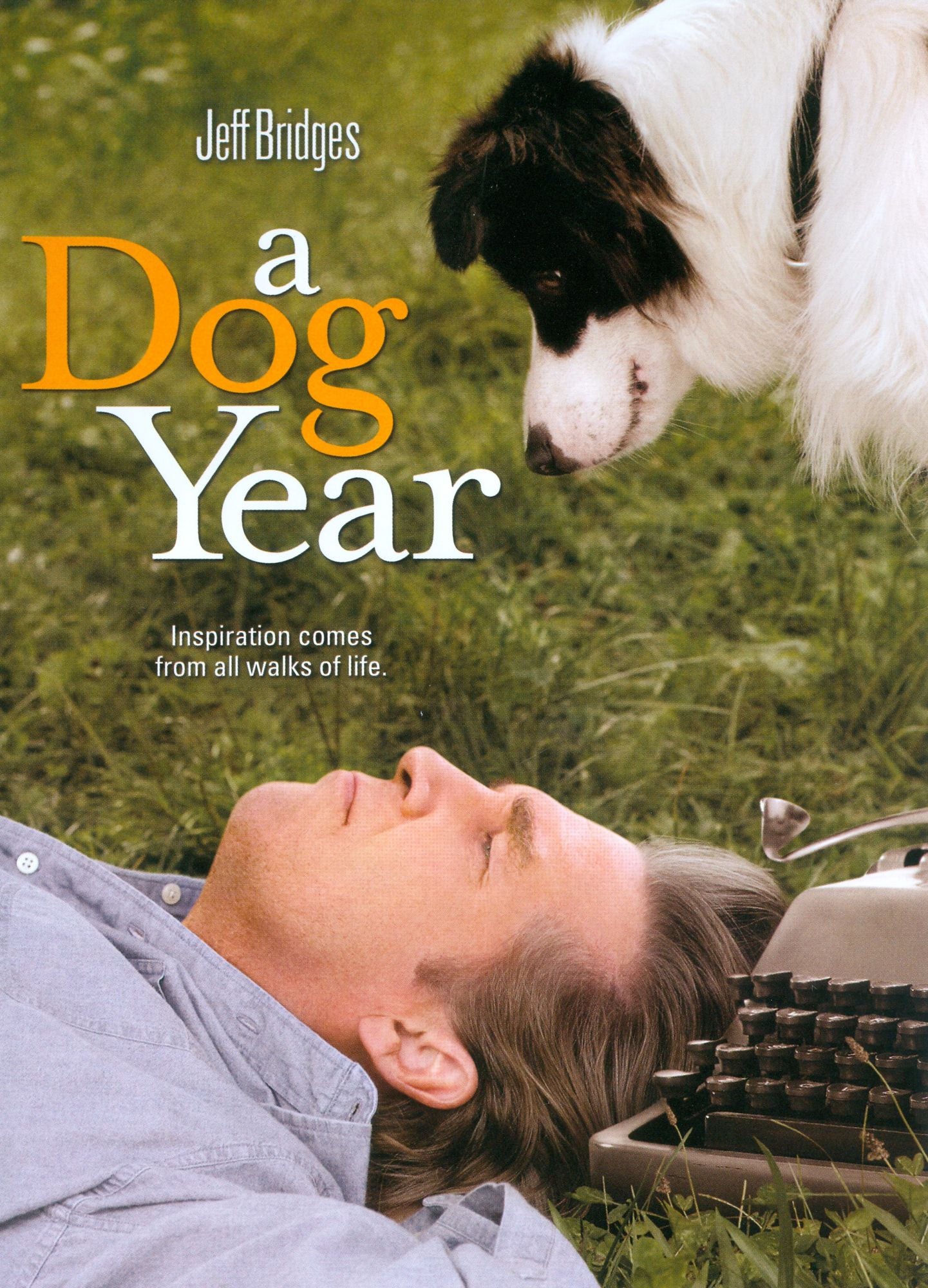 A Dog Year