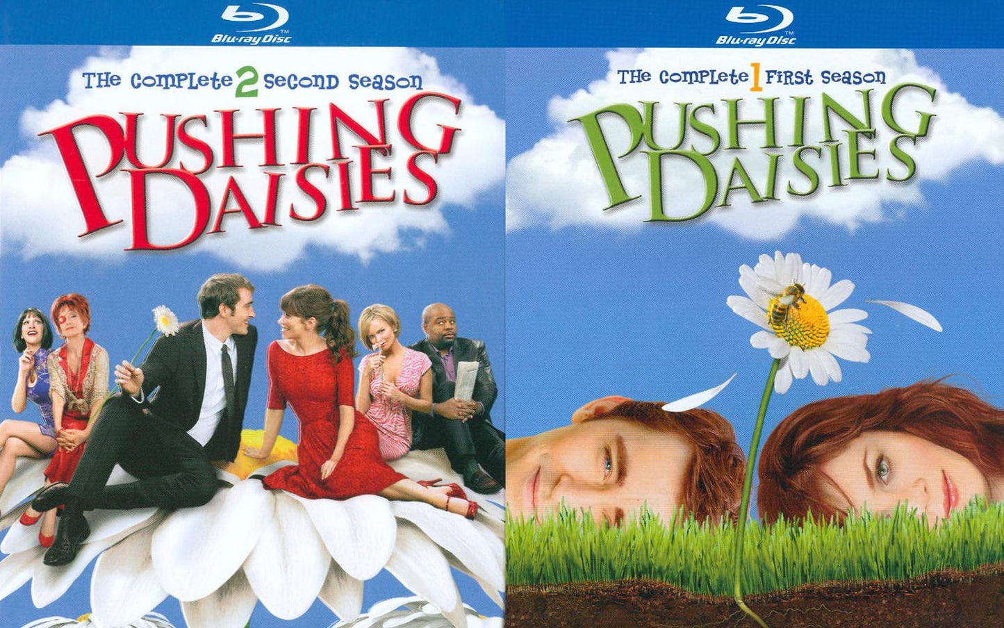 Pushing Daisies: The Complete First & Second Seasons [5 Discs]
