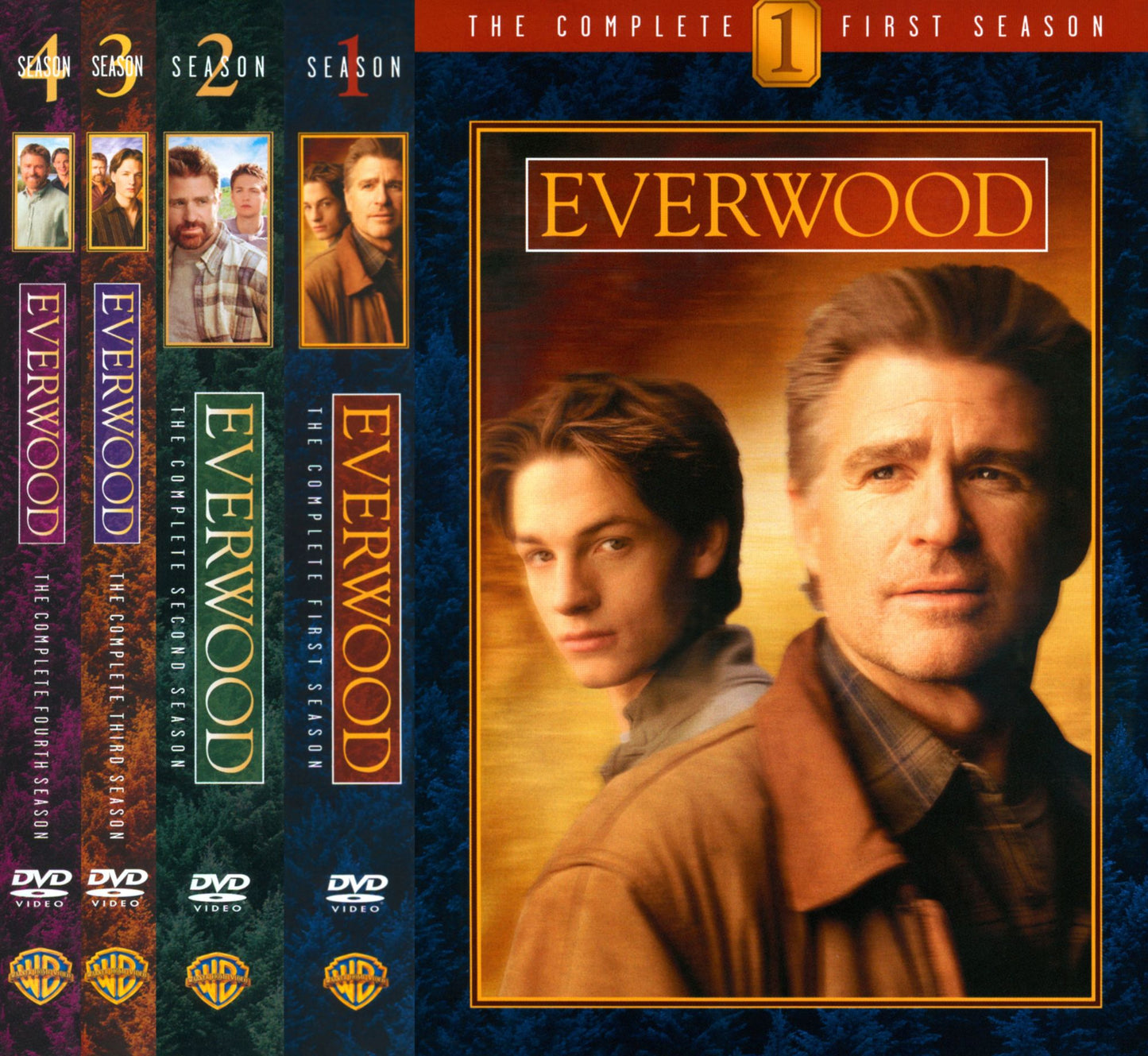 Everwood: The Complete Seasons 1-4 [22 Discs]