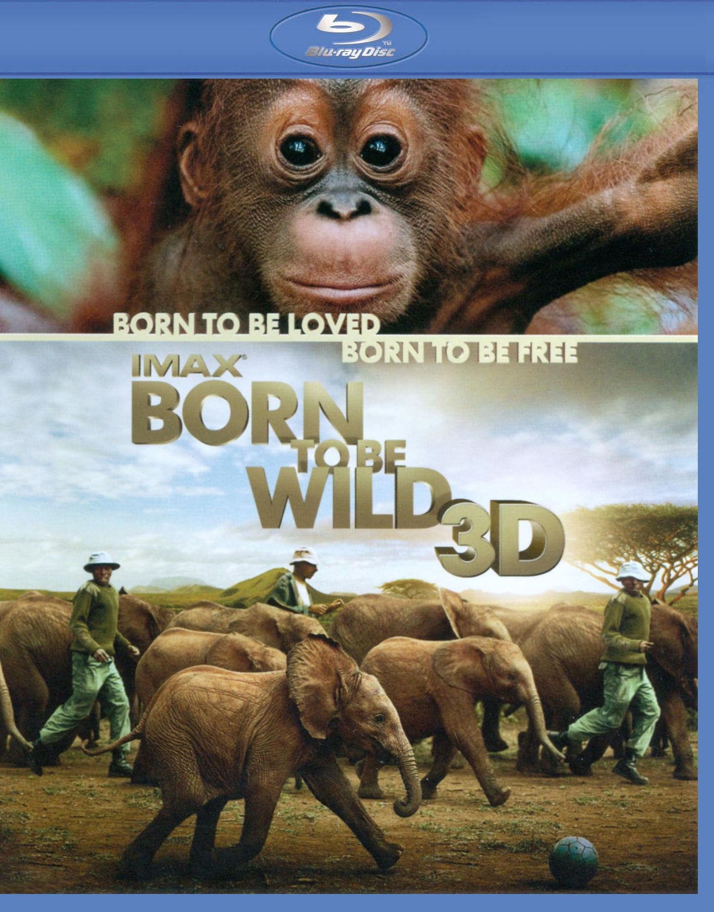 Born to Be Wild 3D [3 Discs] [Includes Digital Copy] [UltraViolet] [3D] [Blu-ray/DVD]