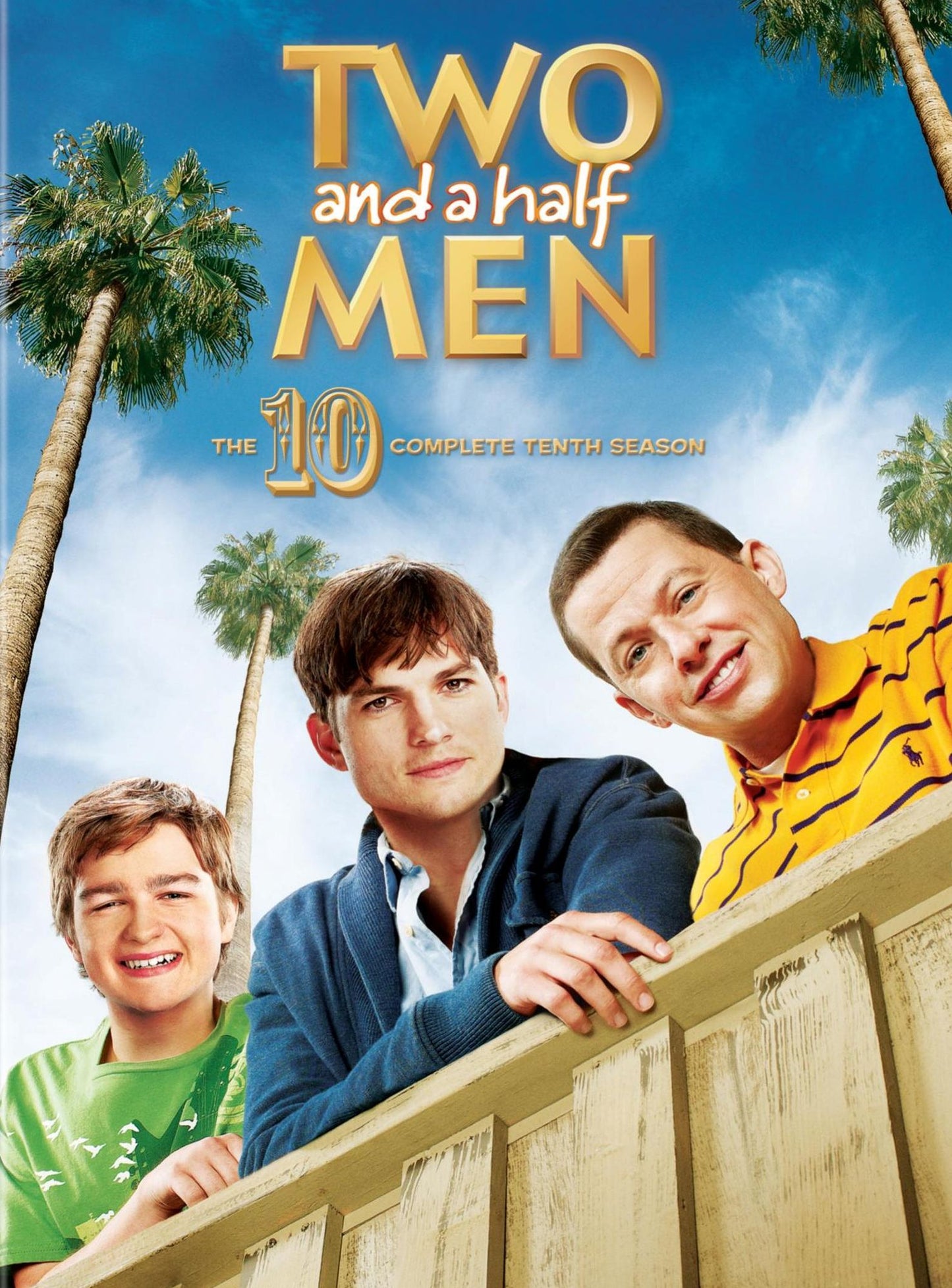 Two & A Half Men: Complete Tenth Seasons