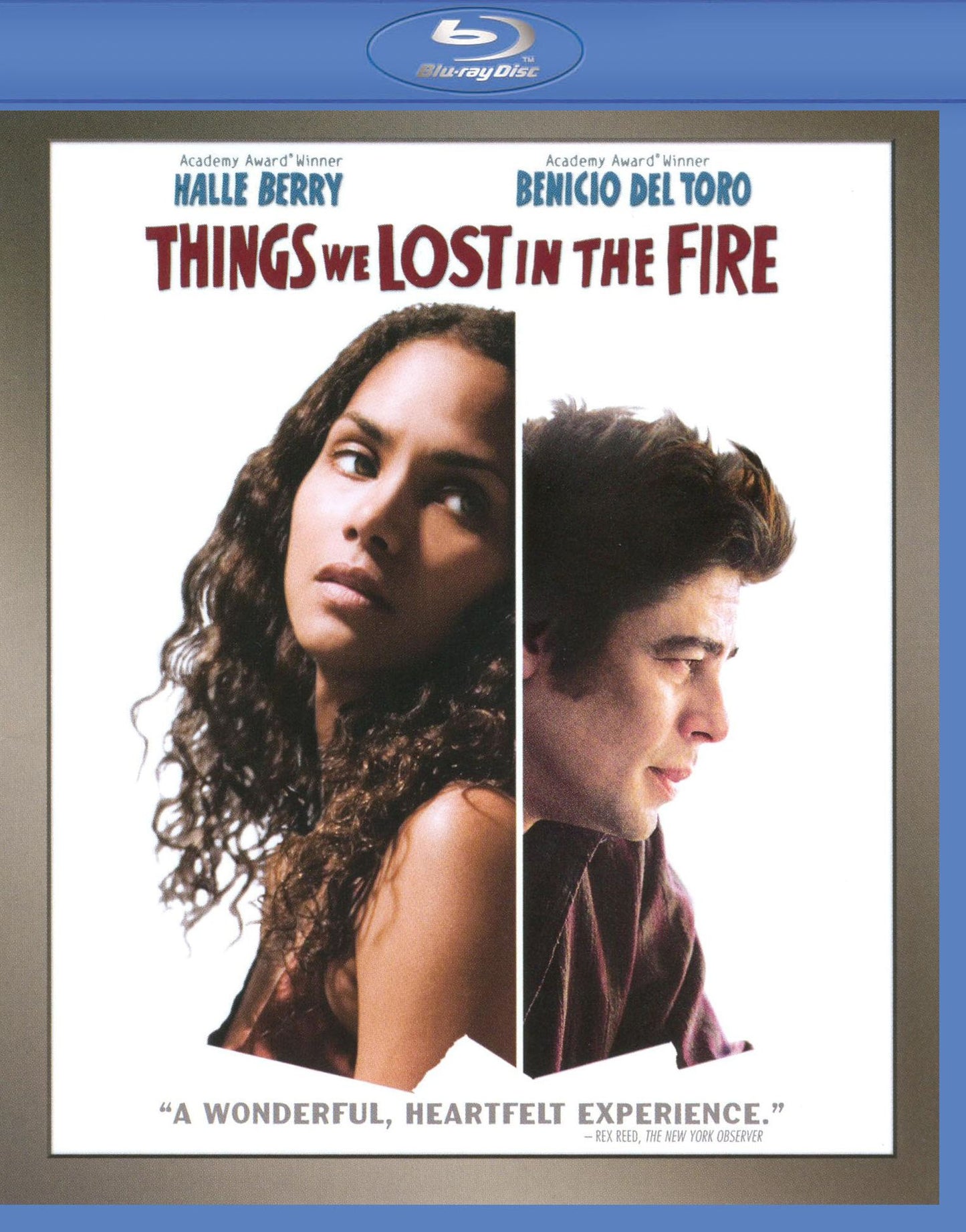 Things We Lost in the Fire [Blu-ray]
