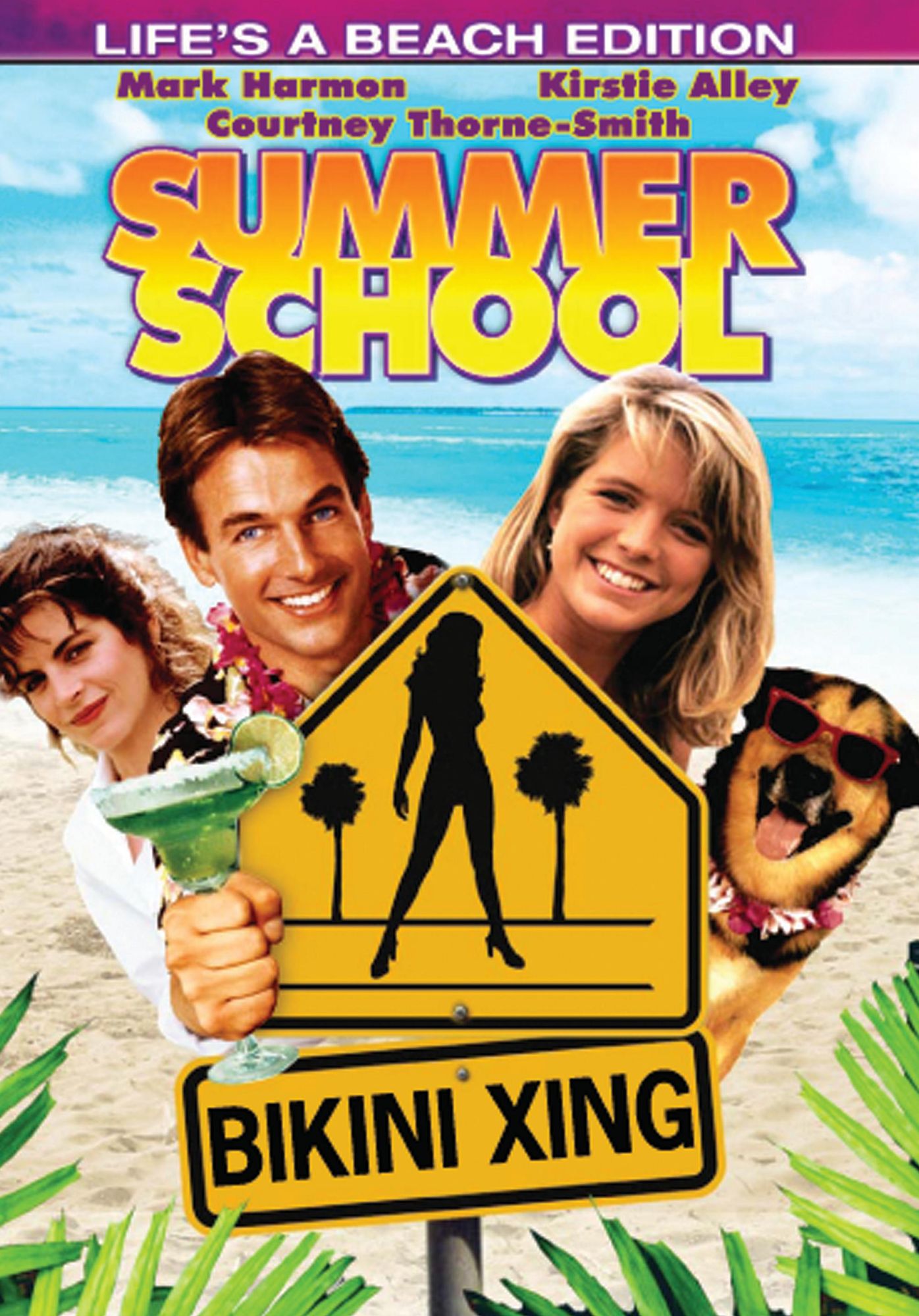 Summer School