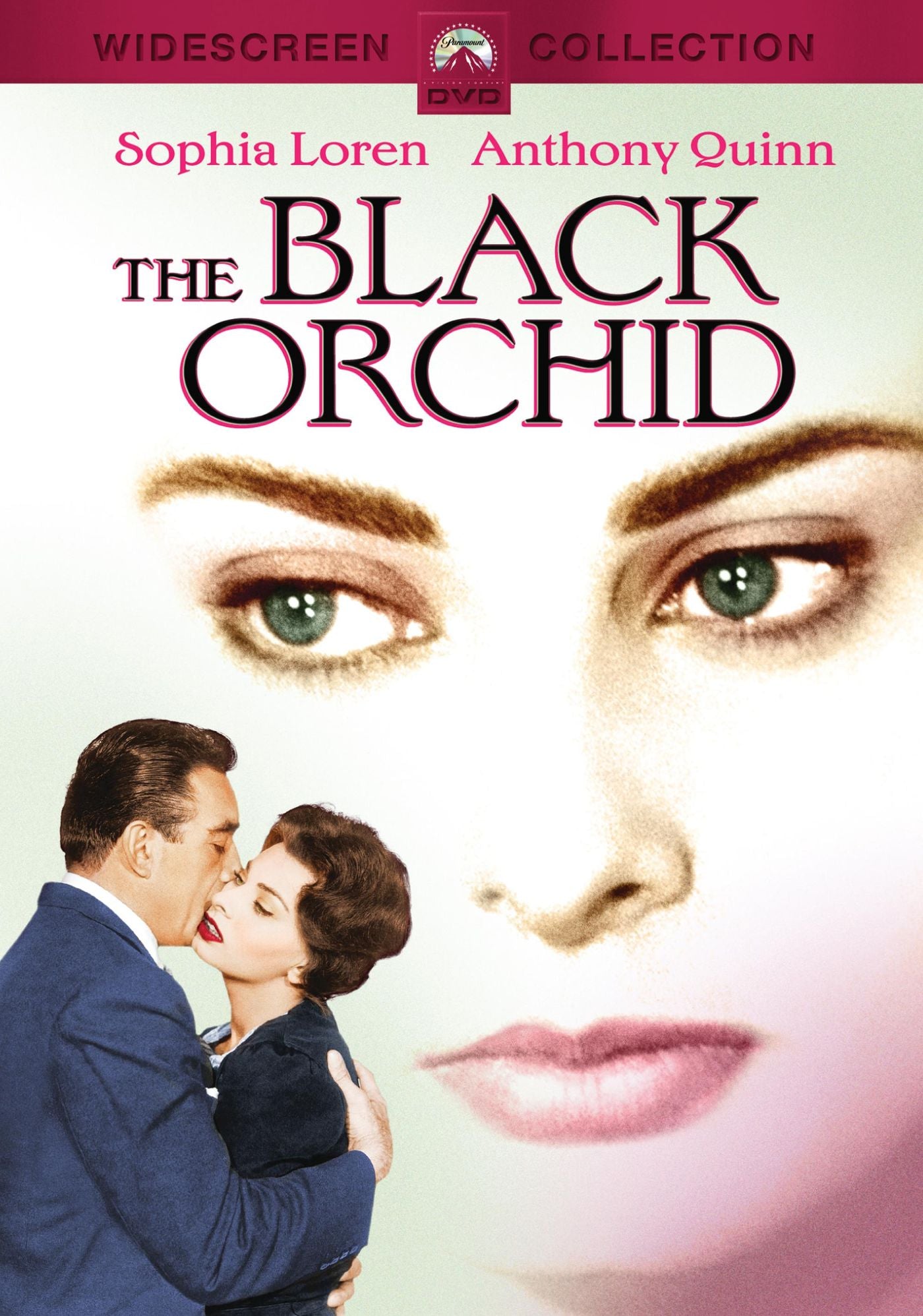 The Black Orchid