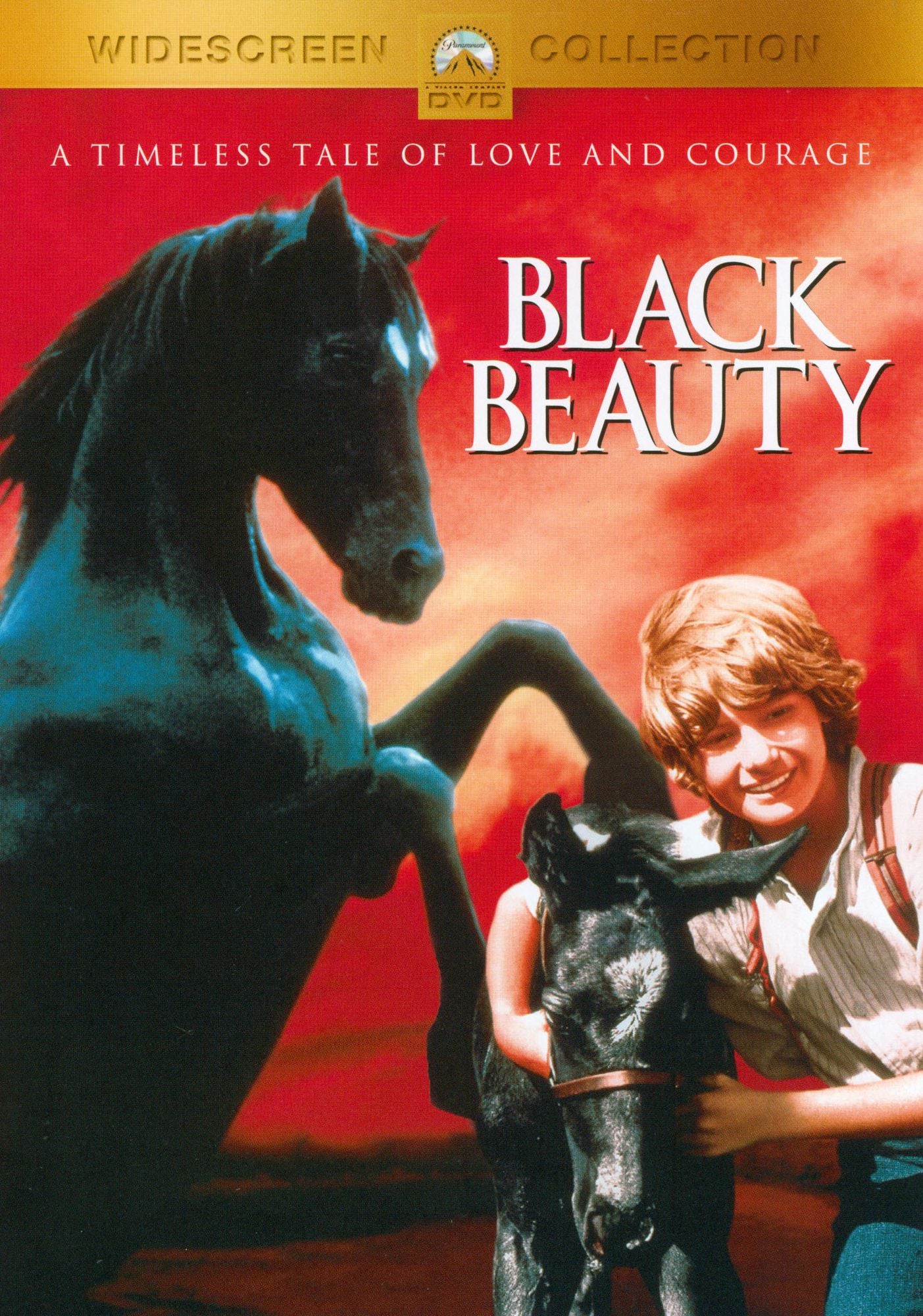 Black Beauty