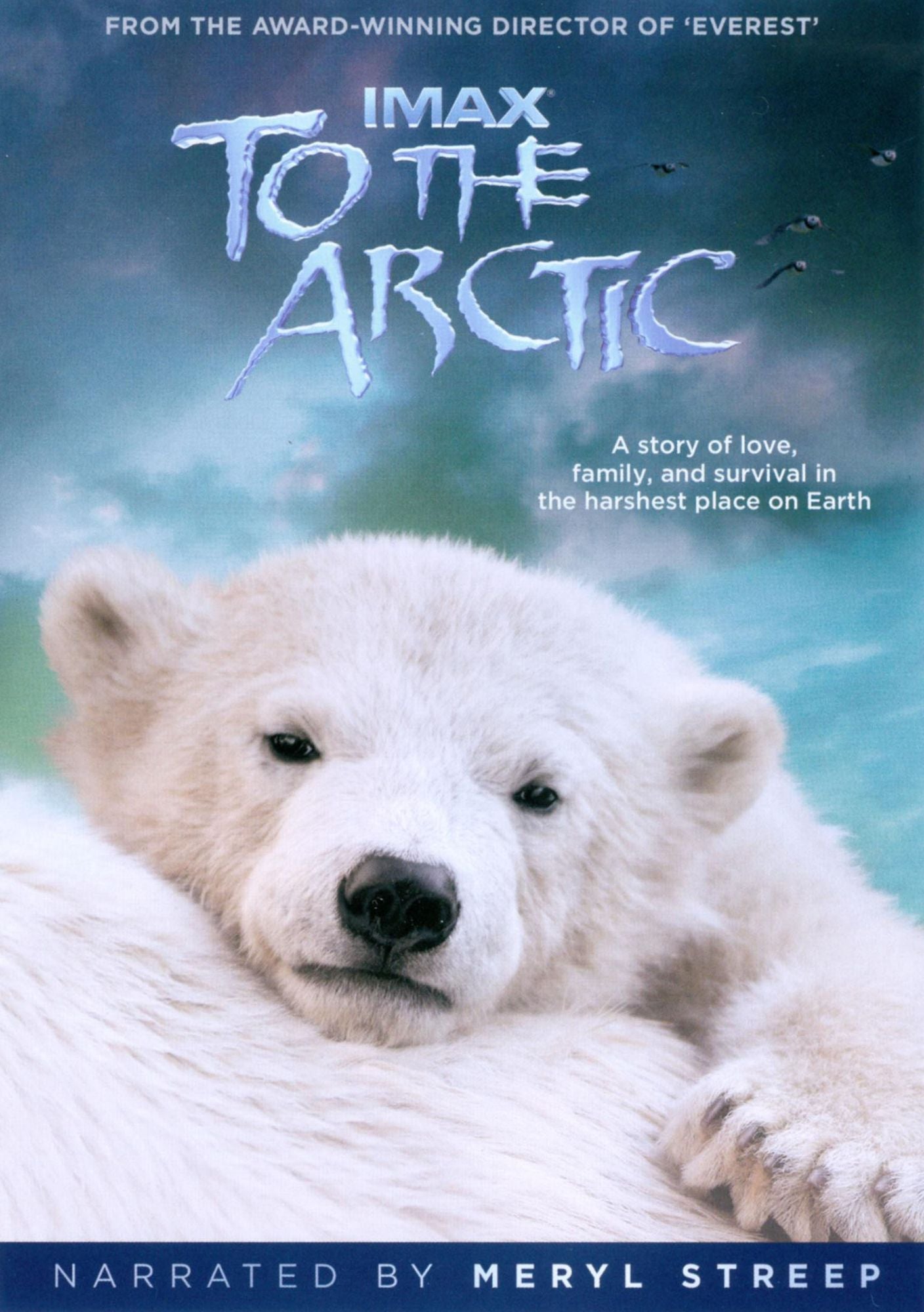 To the Arctic