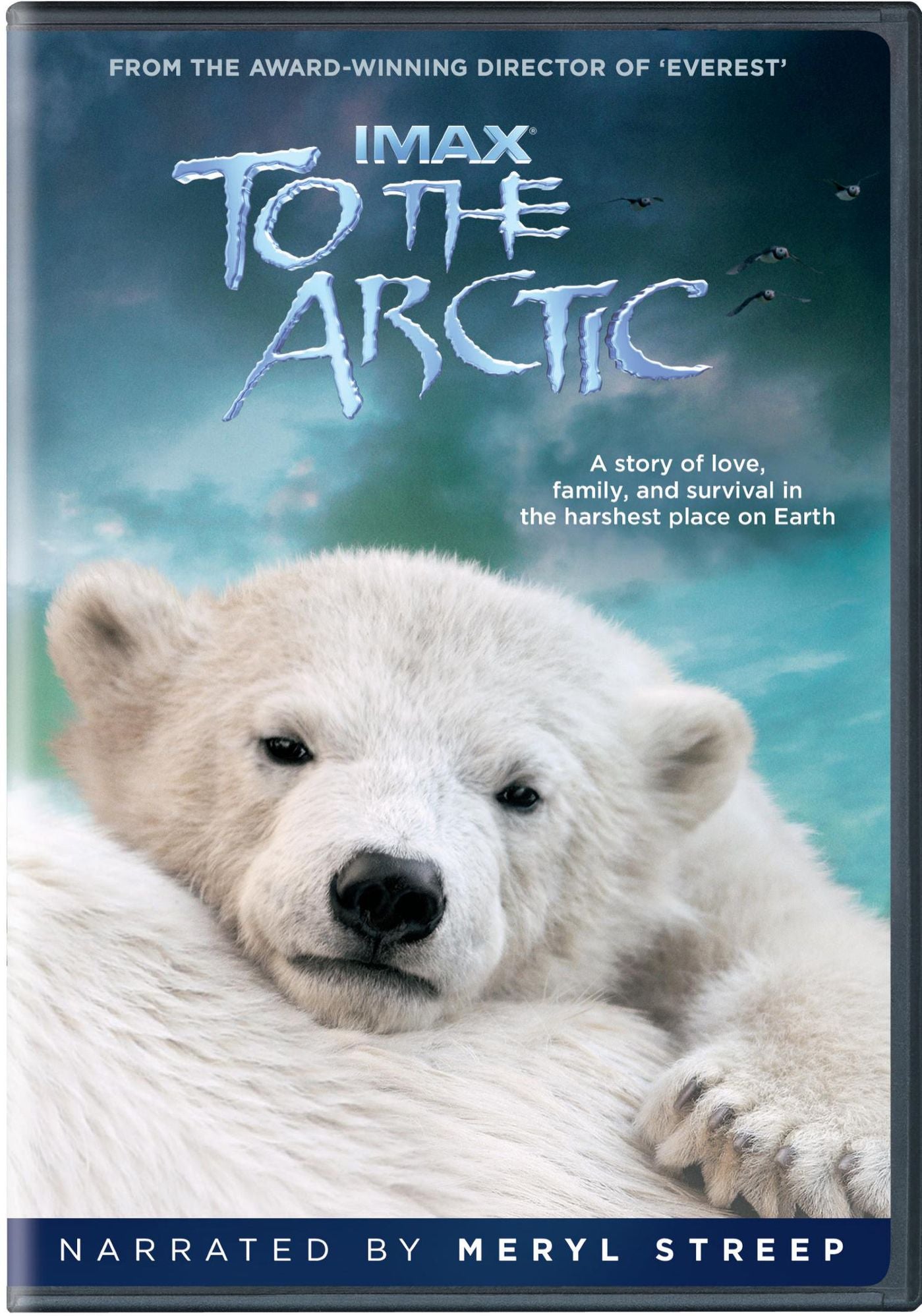 To the Arctic