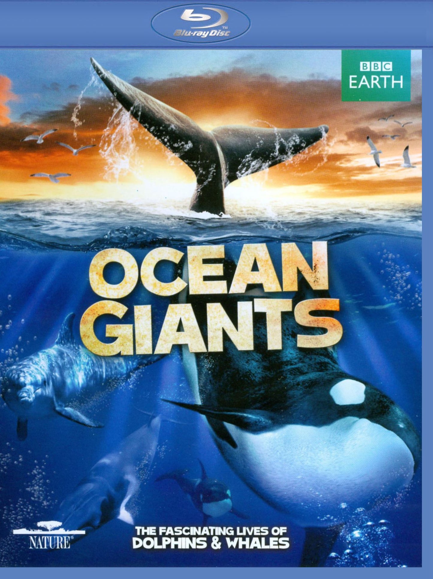 Ocean Giants [2 Discs] [Blu-ray/DVD]