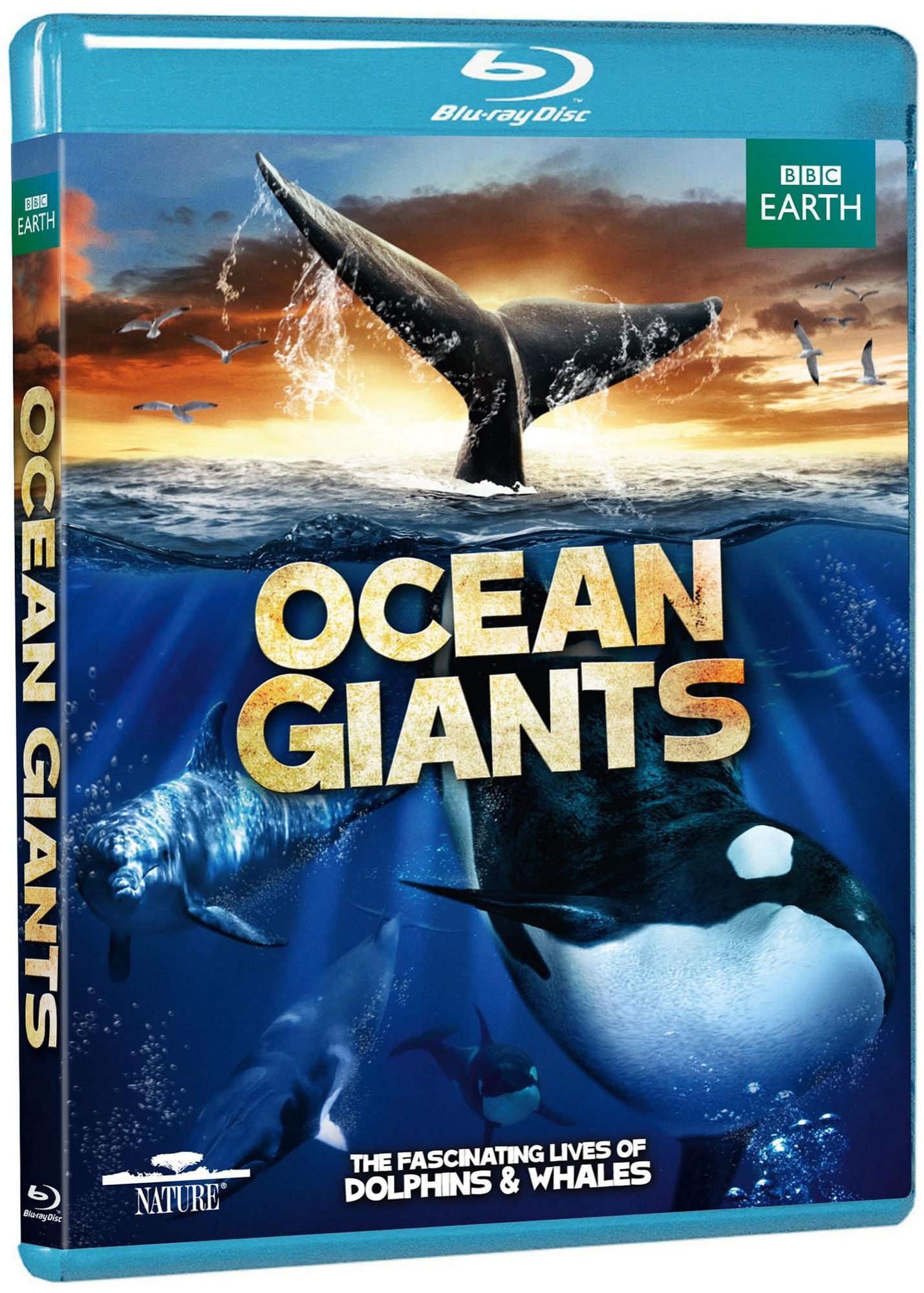 Ocean Giants [2 Discs] [Blu-ray/DVD]