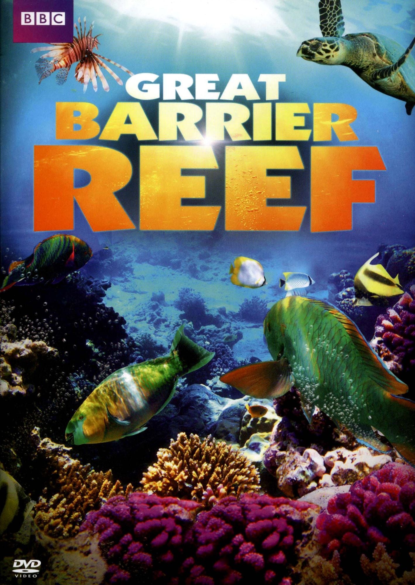 The Great Barrier Reef