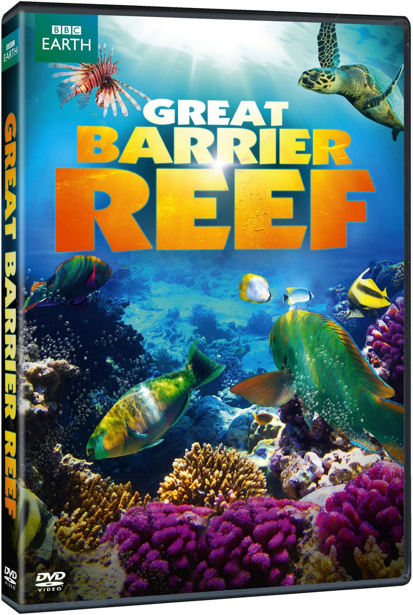 The Great Barrier Reef