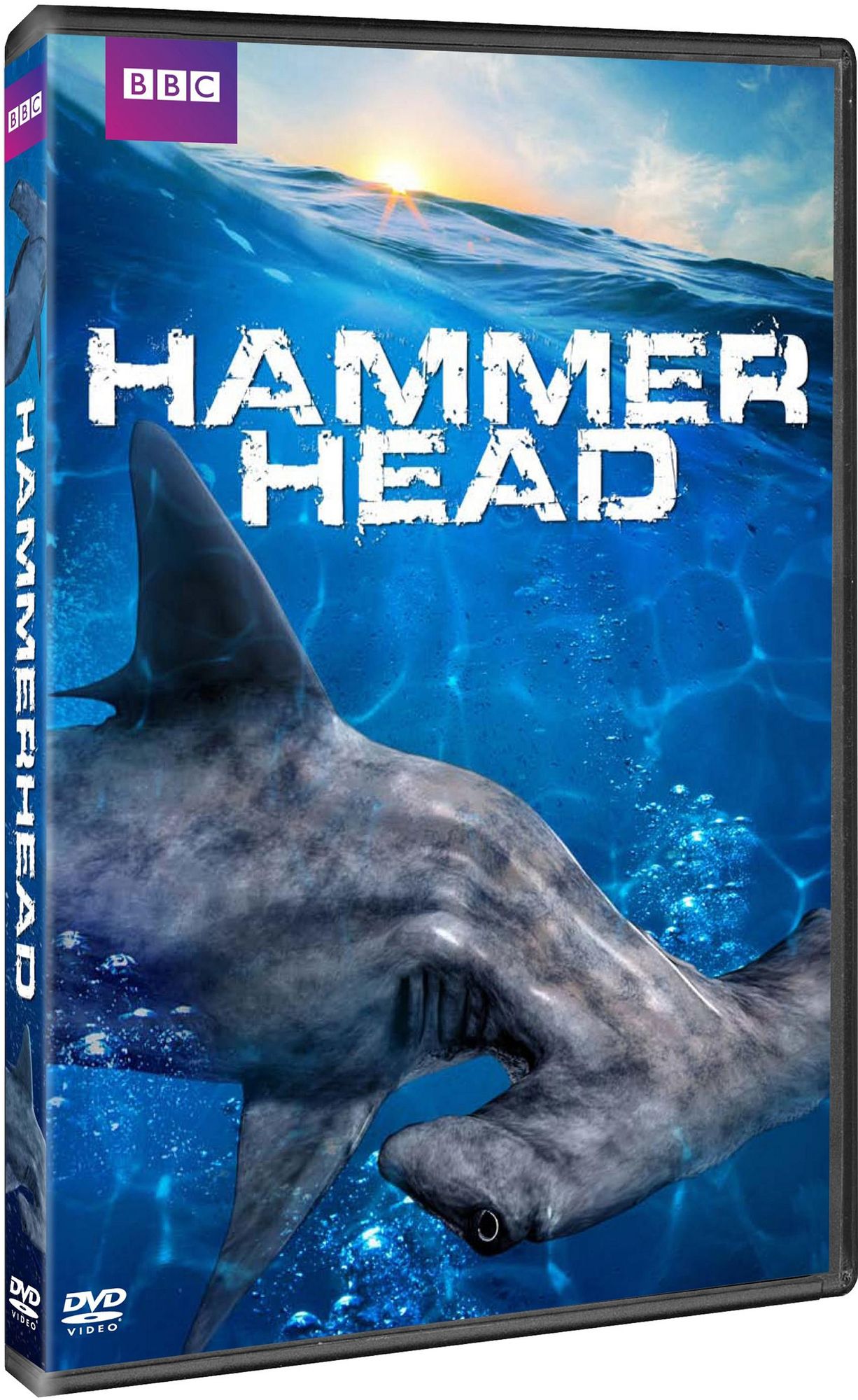 Hammerhead