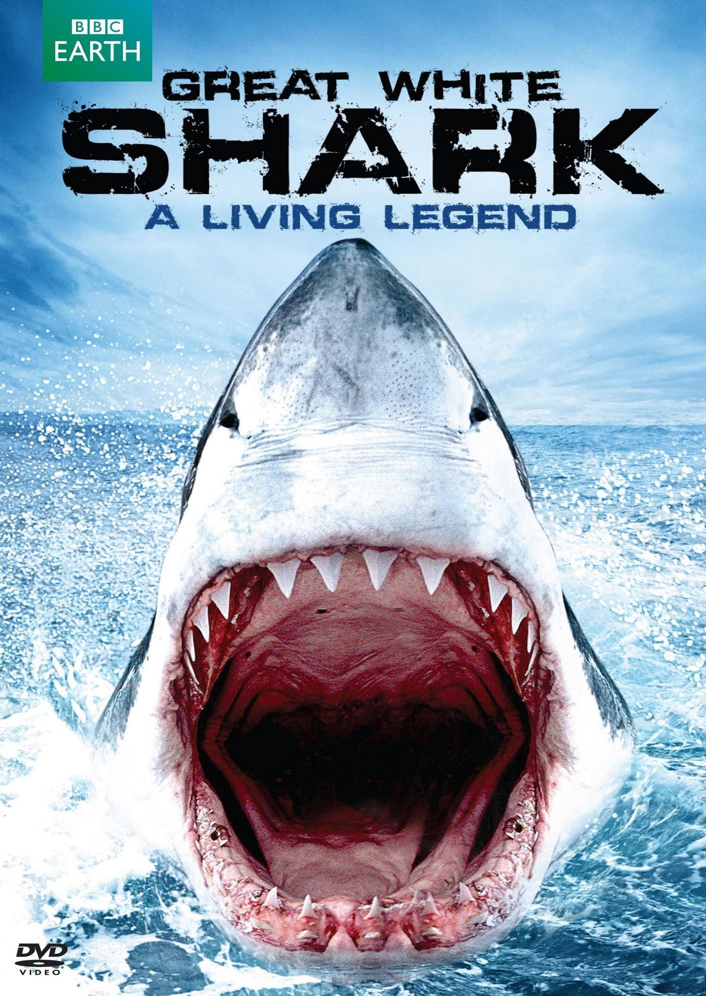 Great White Shark: A Living Legend