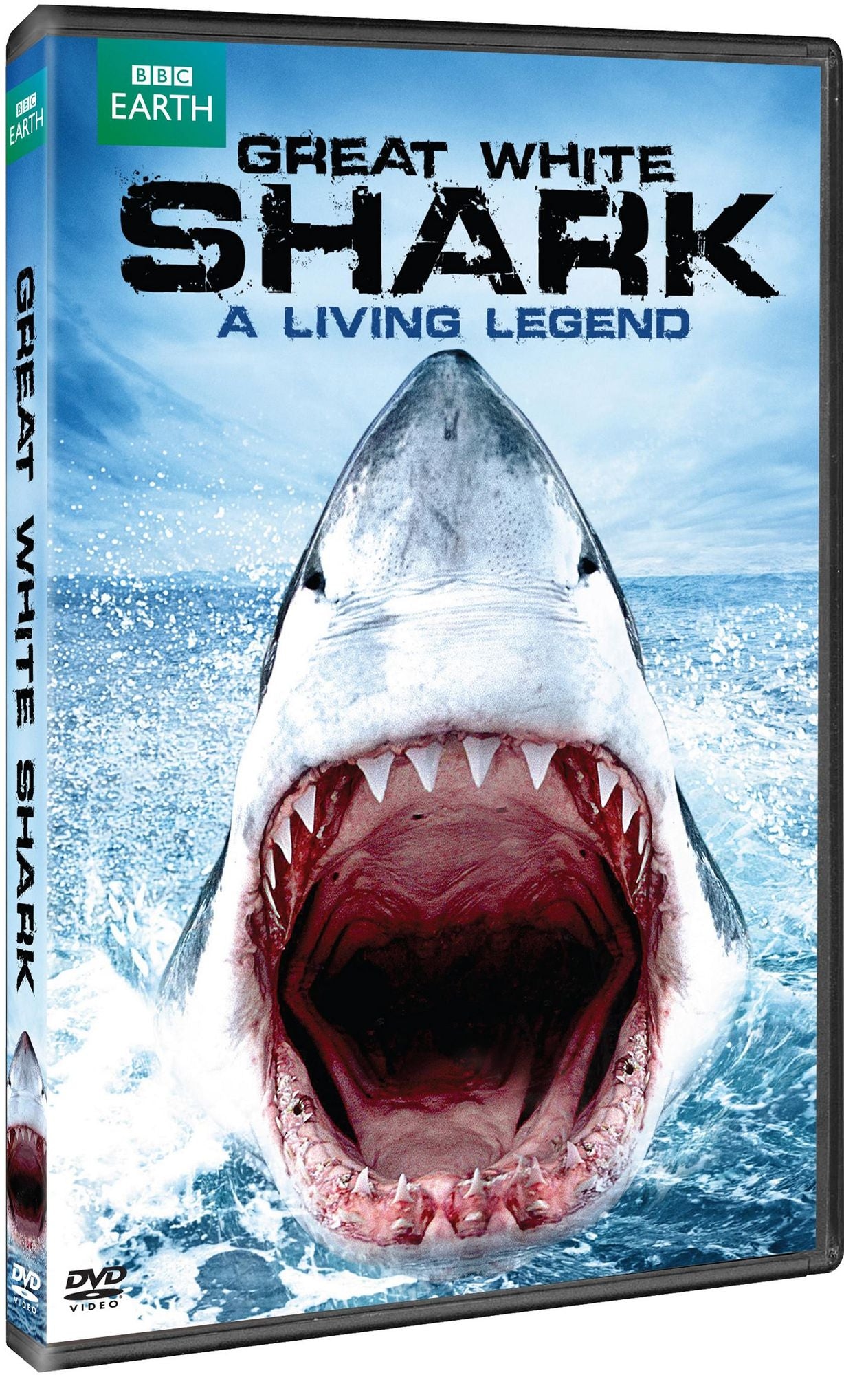 Great White Shark: A Living Legend