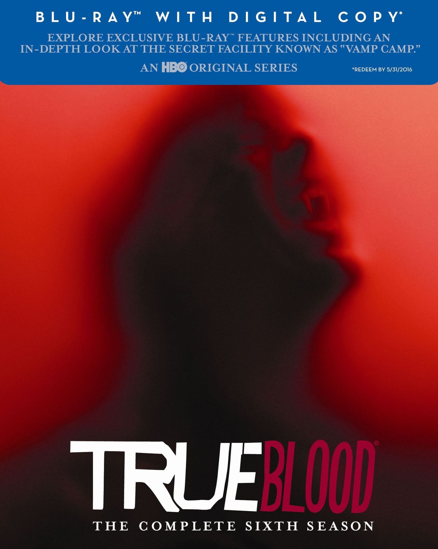 TRUE BLOOD: SEASON 6 (BR DIGC)