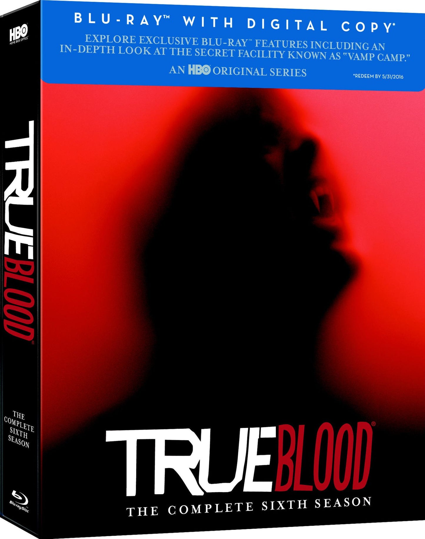 TRUE BLOOD: SEASON 6 (BR DIGC)