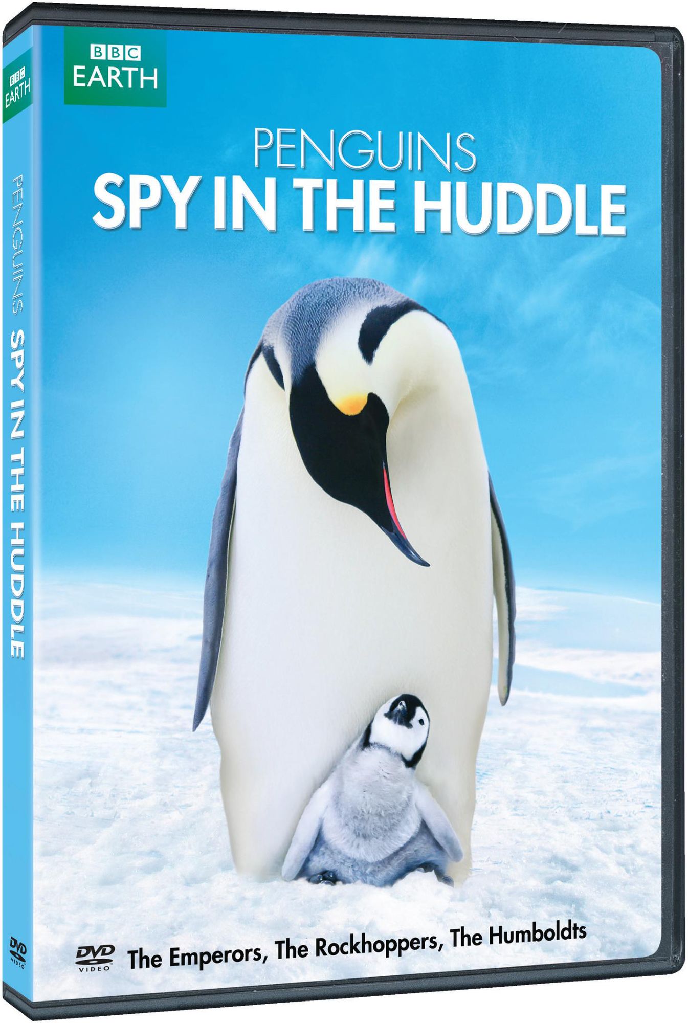 Penguins: Spy in the Huddle