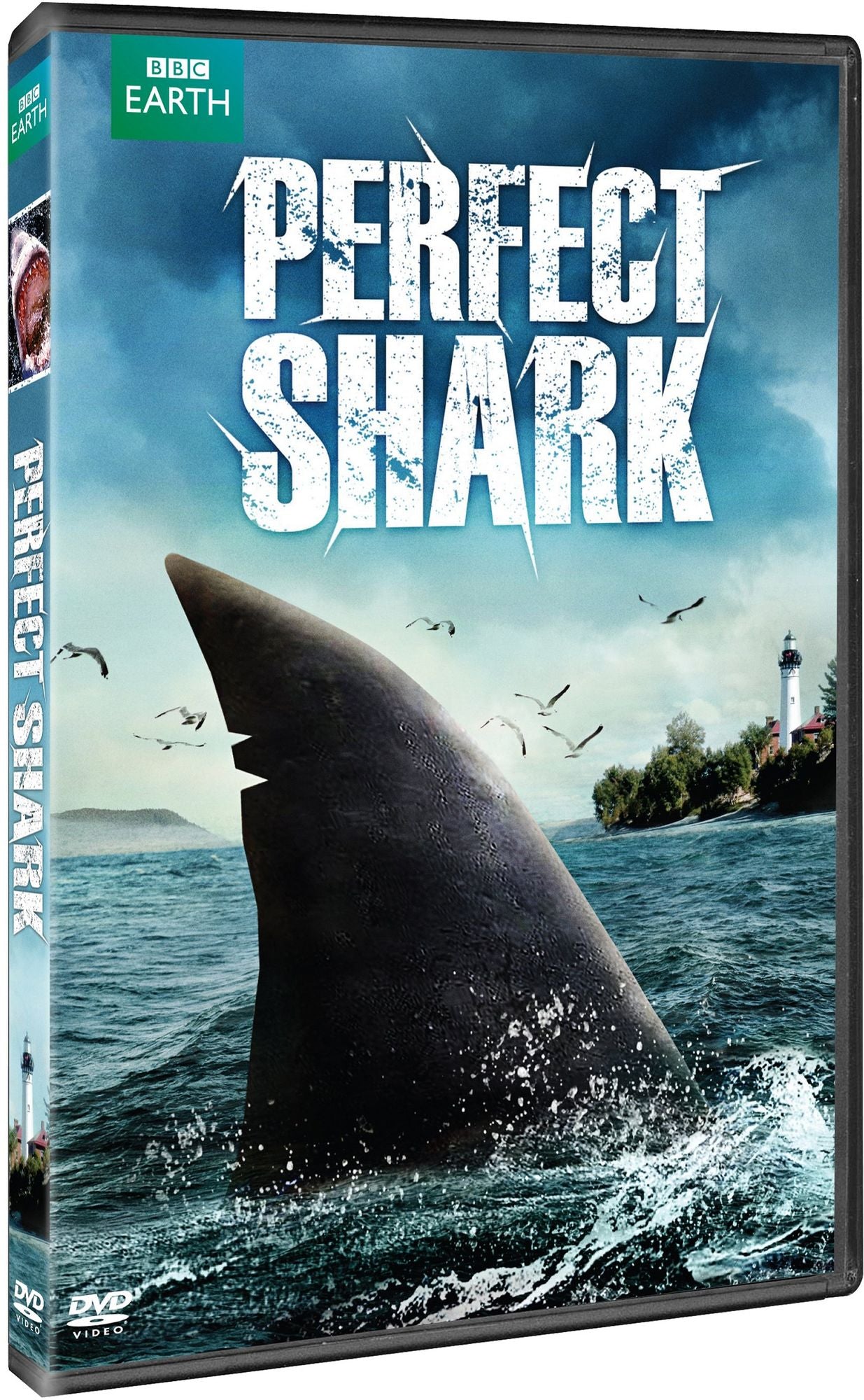 The Perfect Shark