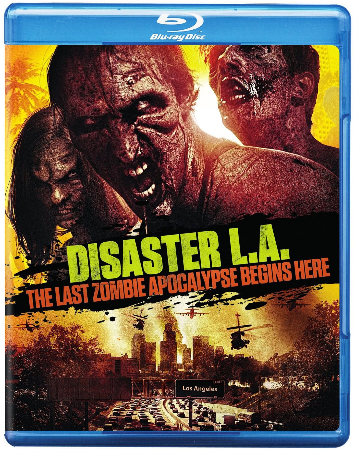 Disaster L.a.