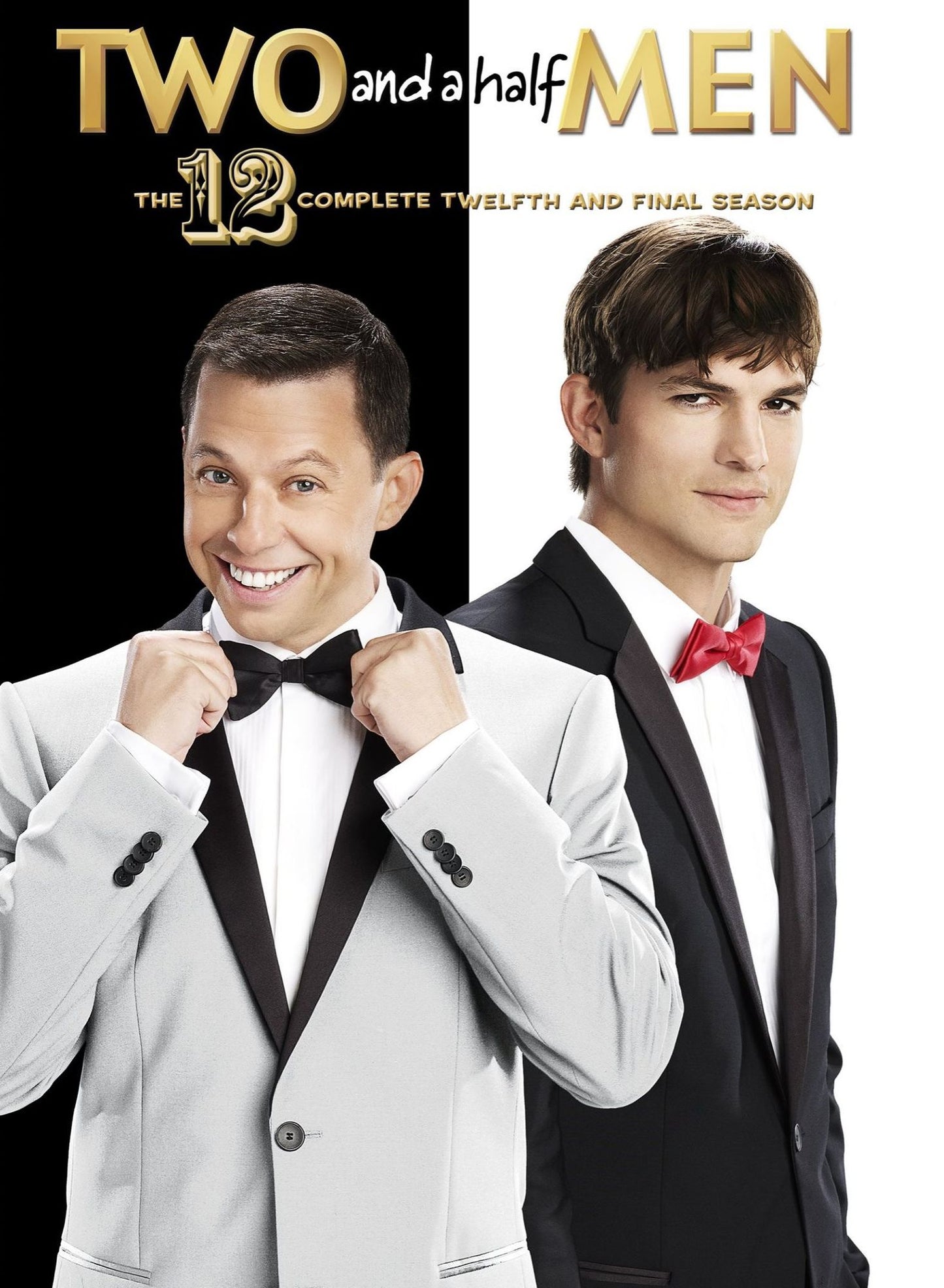 Two & A Half Men: Complete Twelfth & Final Season