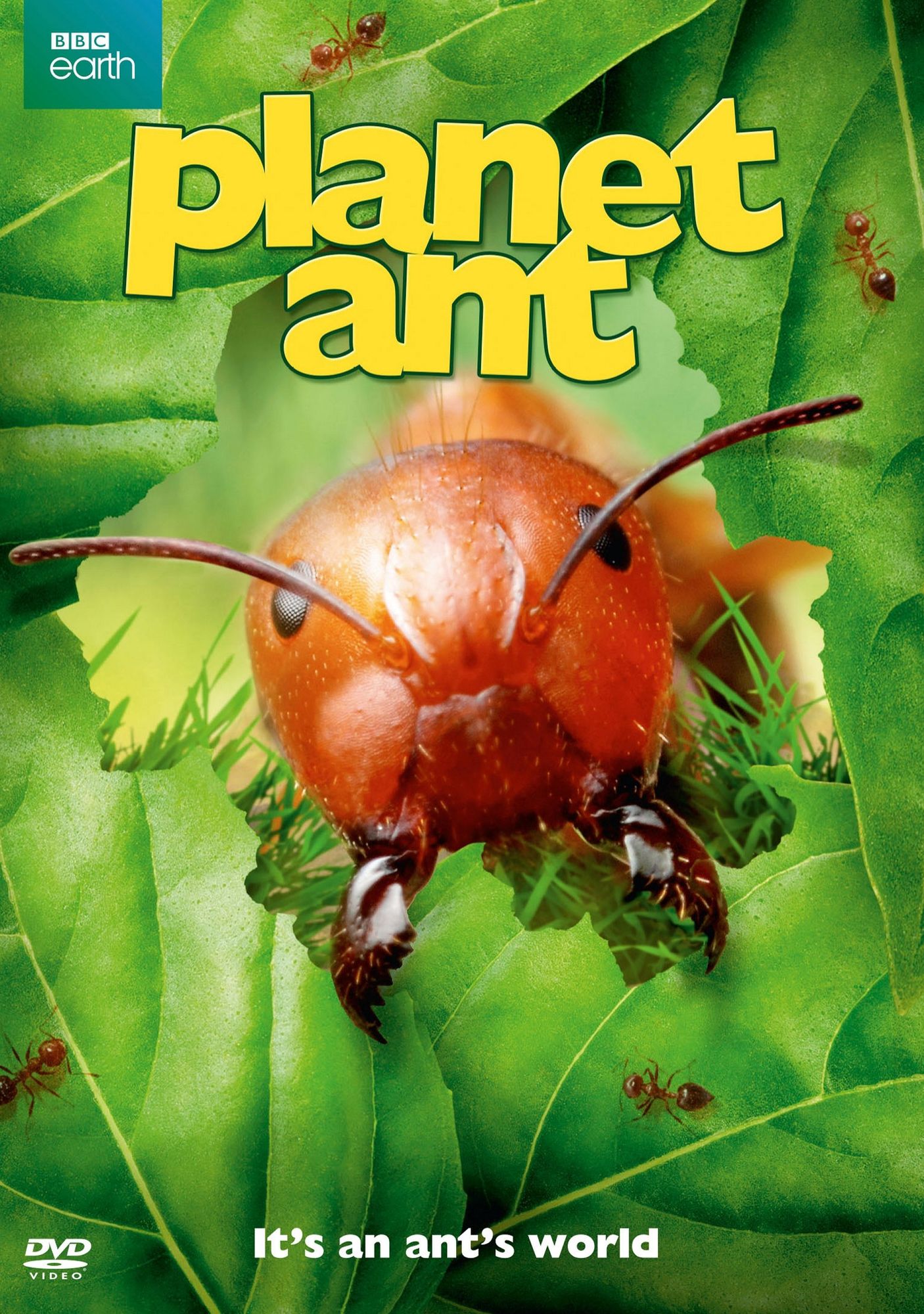 PLANET ANT / (ECOA)