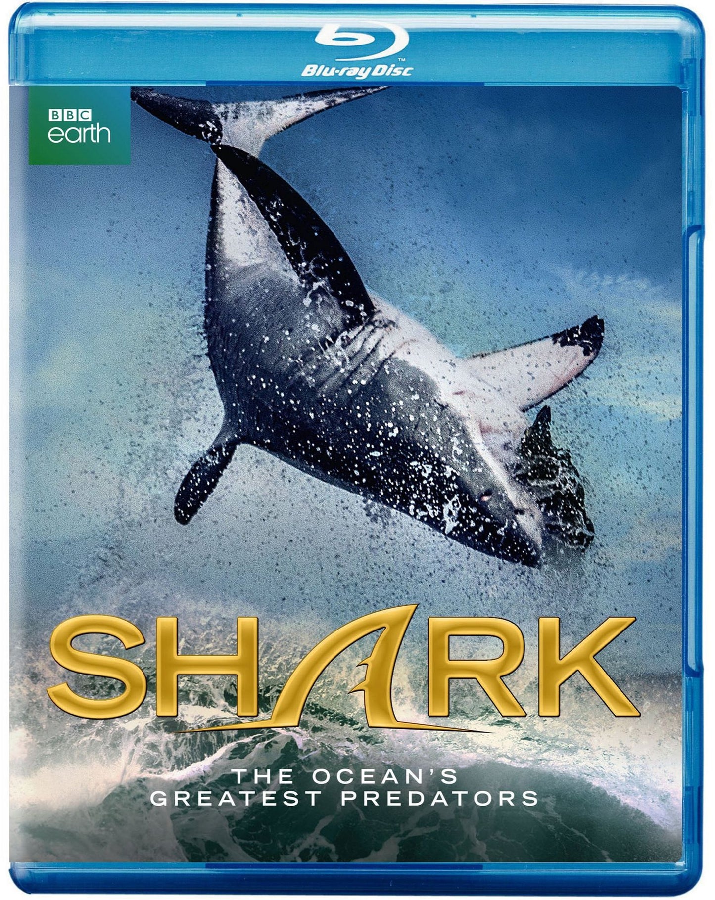 Shark